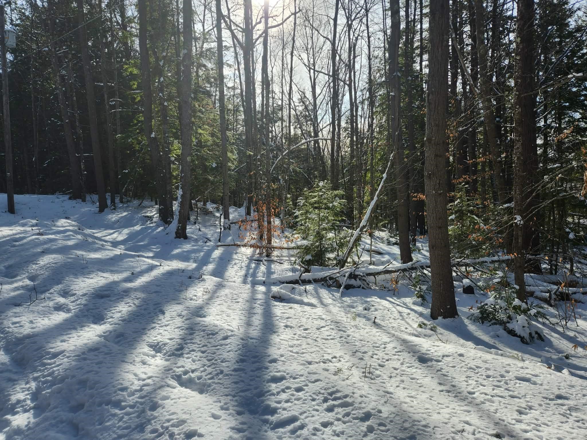 10 cedar Drive Unit: 130-lot 10