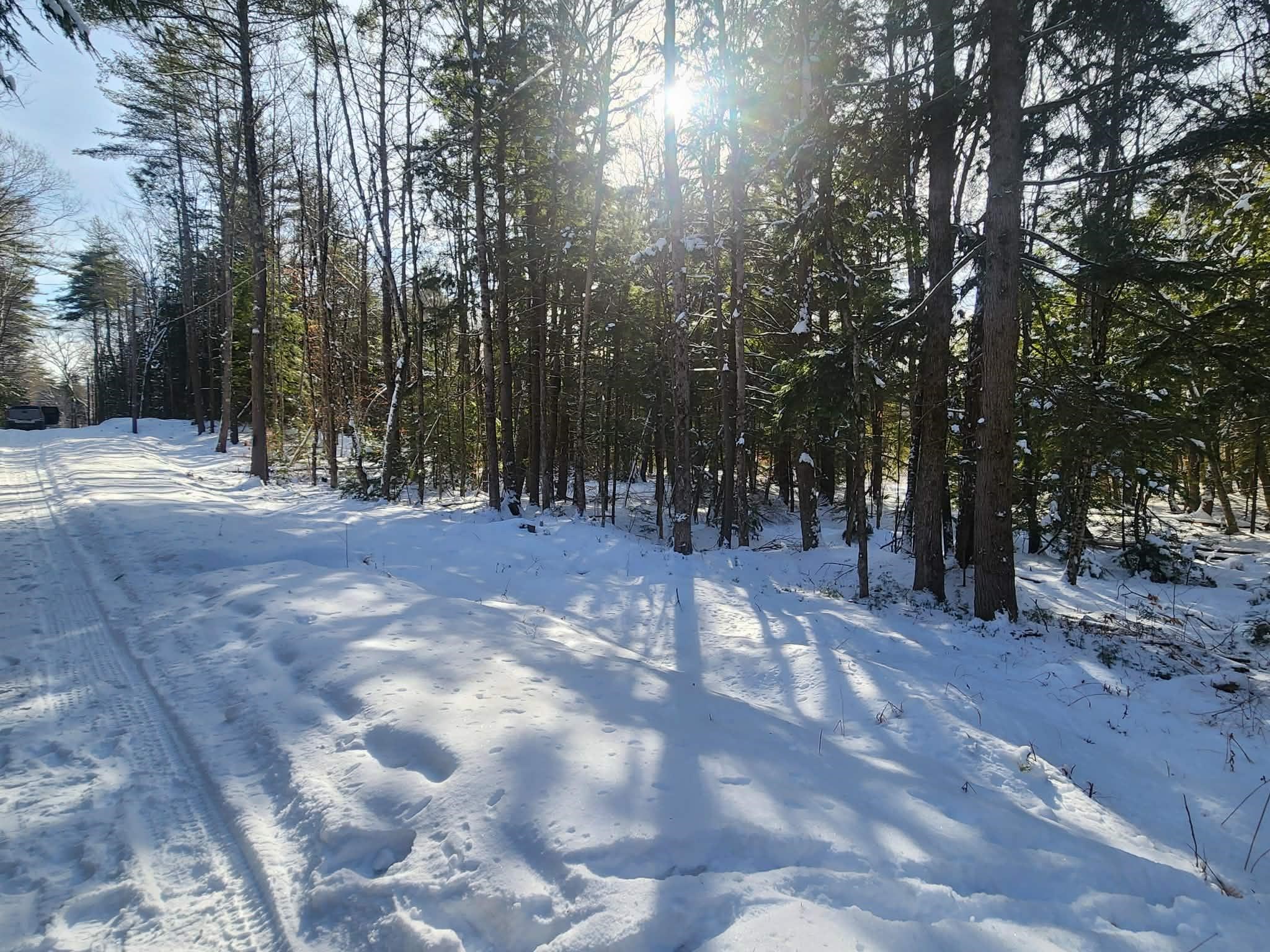 10 cedar Drive Unit: 130-lot 10