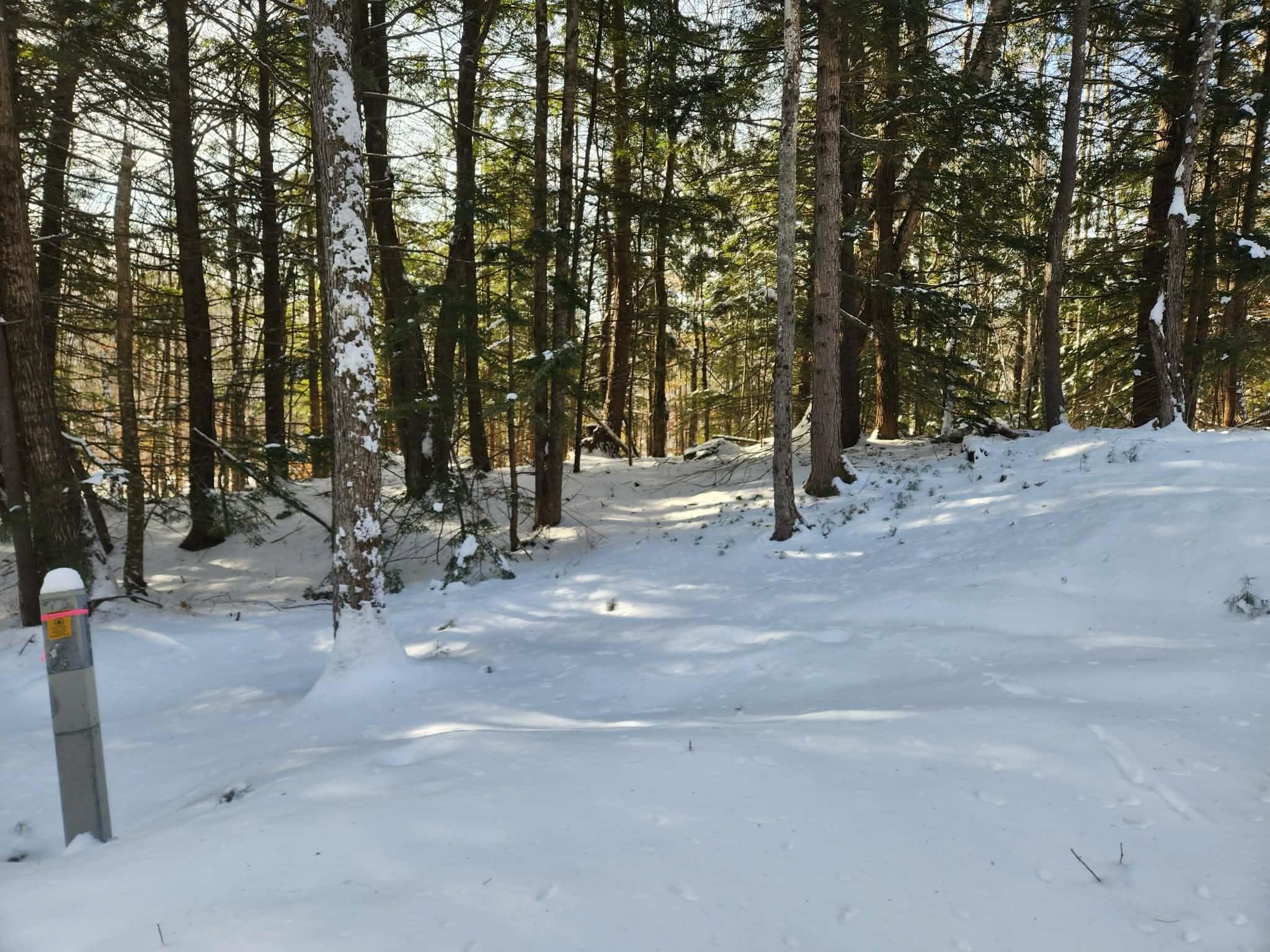 10 cedar Drive Unit: 130-lot 10
