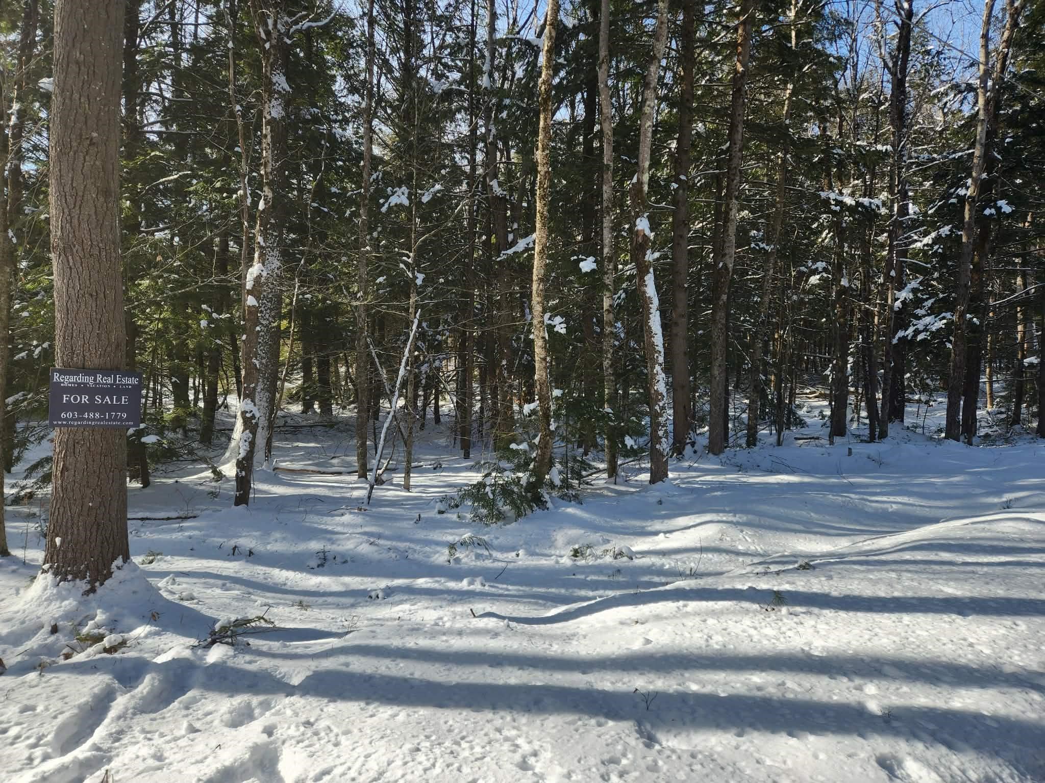 10 cedar Drive Unit: 130-lot 10