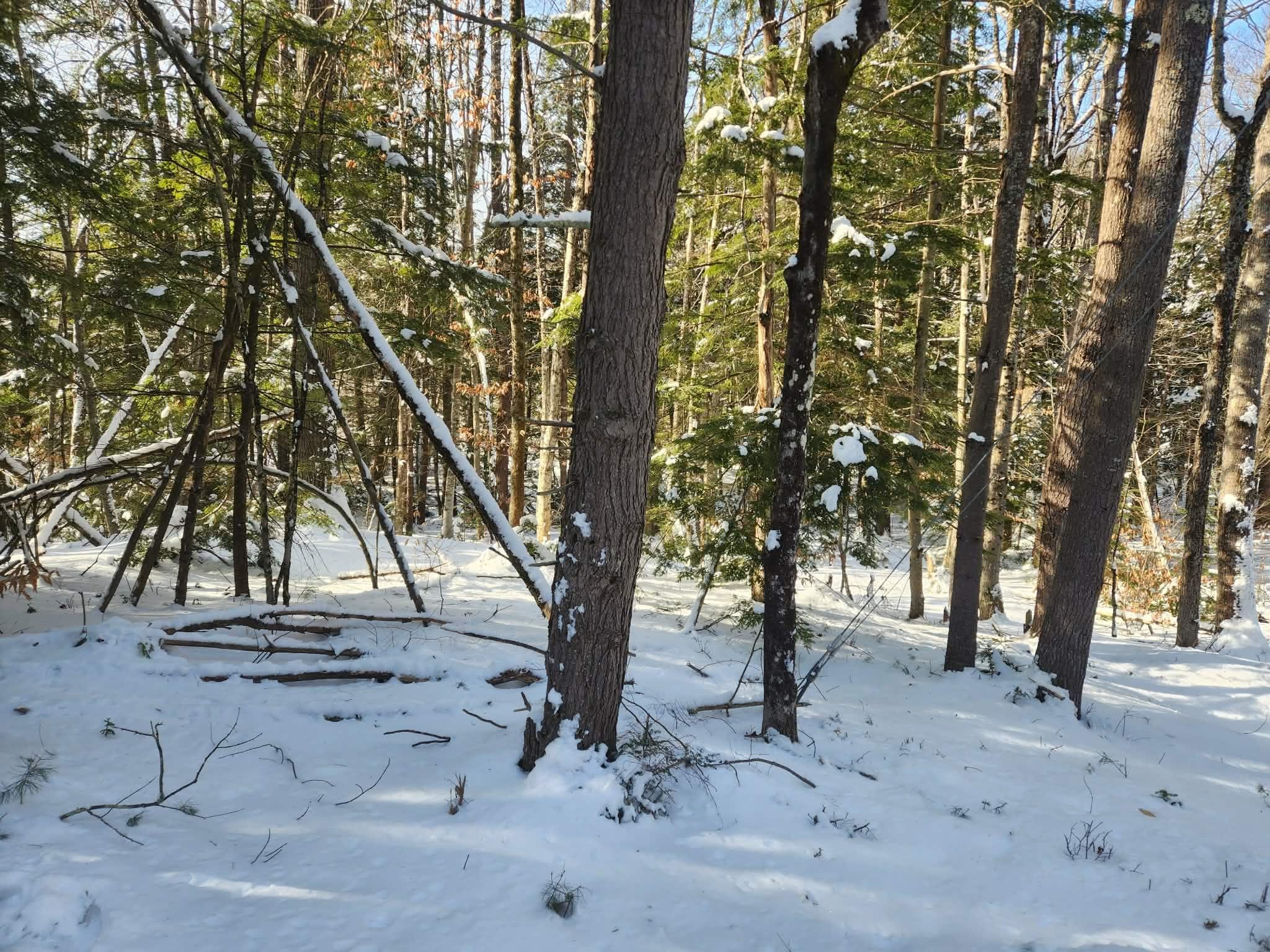 10 cedar Drive Unit: 130-lot 10