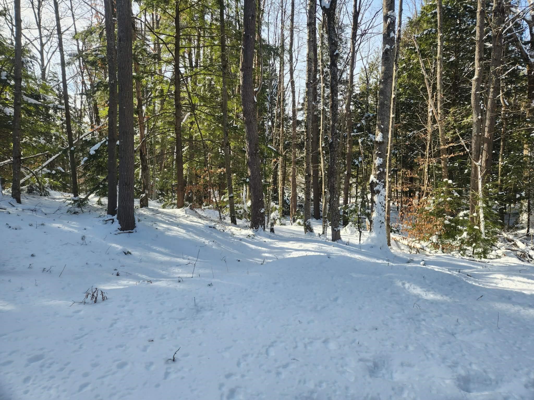 10 cedar Drive Unit: 130-lot 10