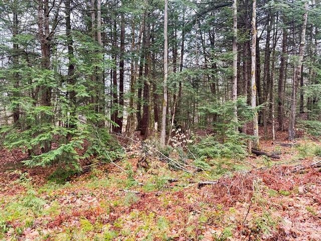 10 cedar Drive Unit: 130-lot 10