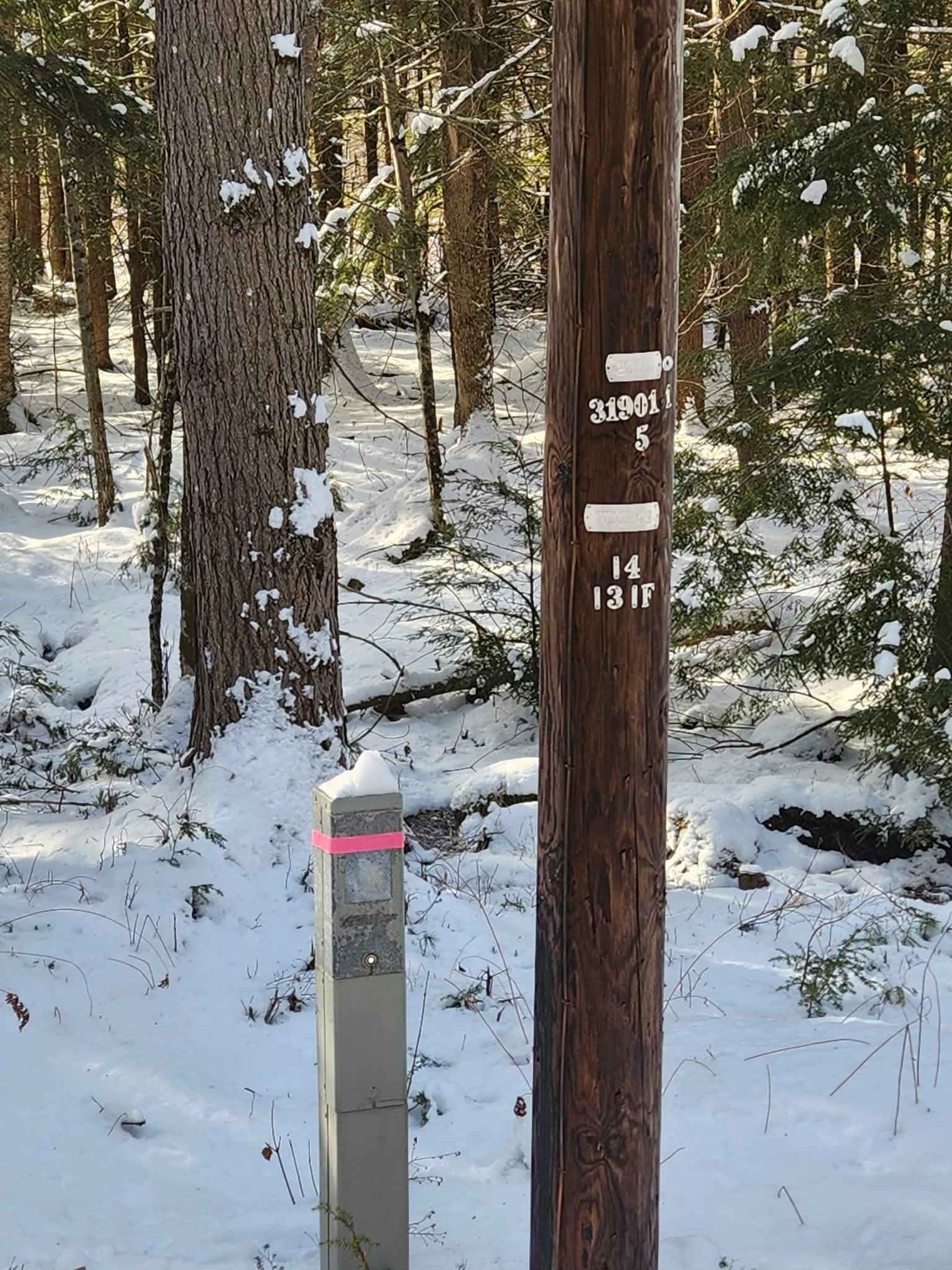 10 cedar Drive Unit: 130-lot 10