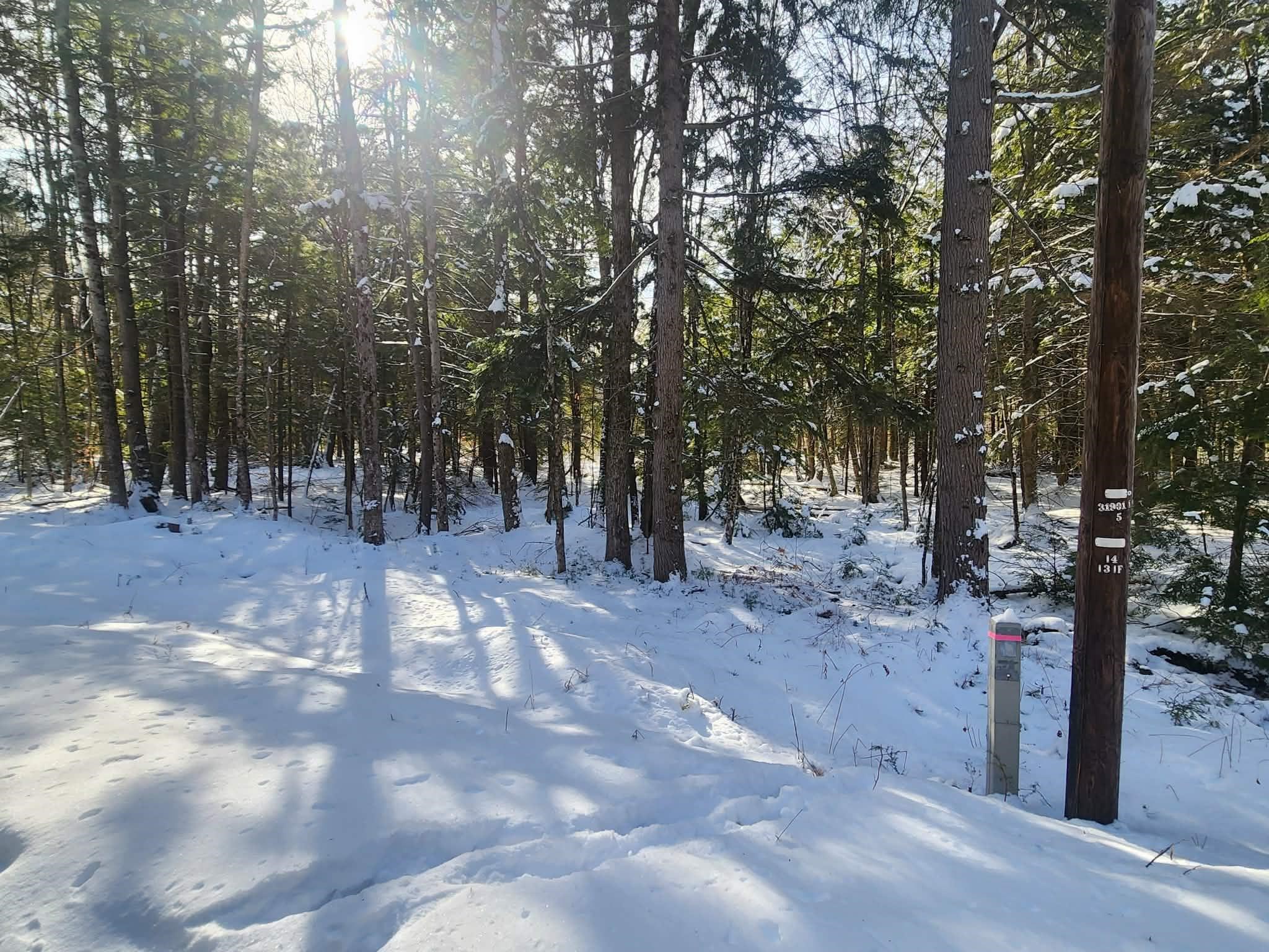 10 cedar Drive Unit: 130-lot 10