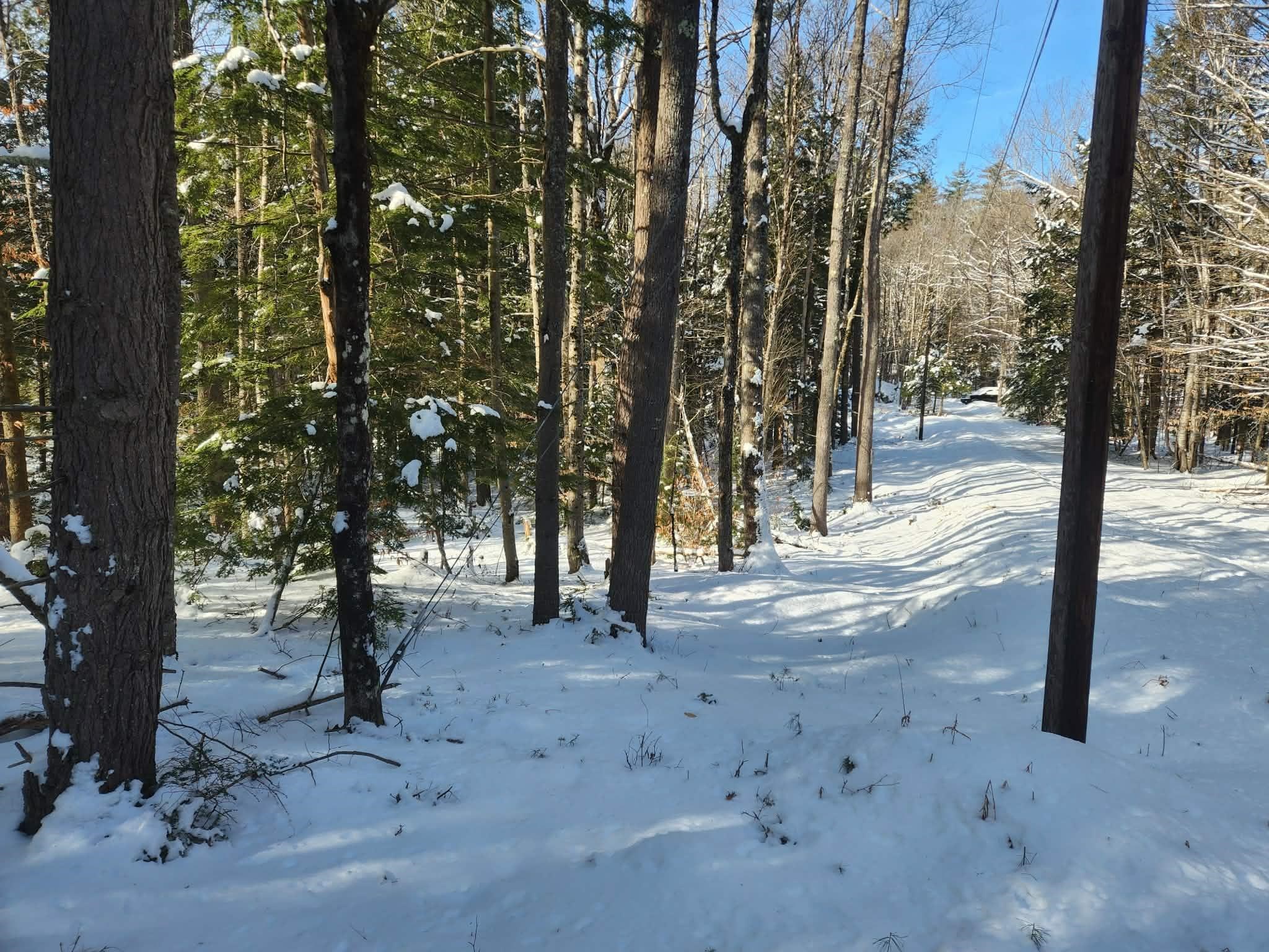 10 cedar Drive Unit: 130-lot 10