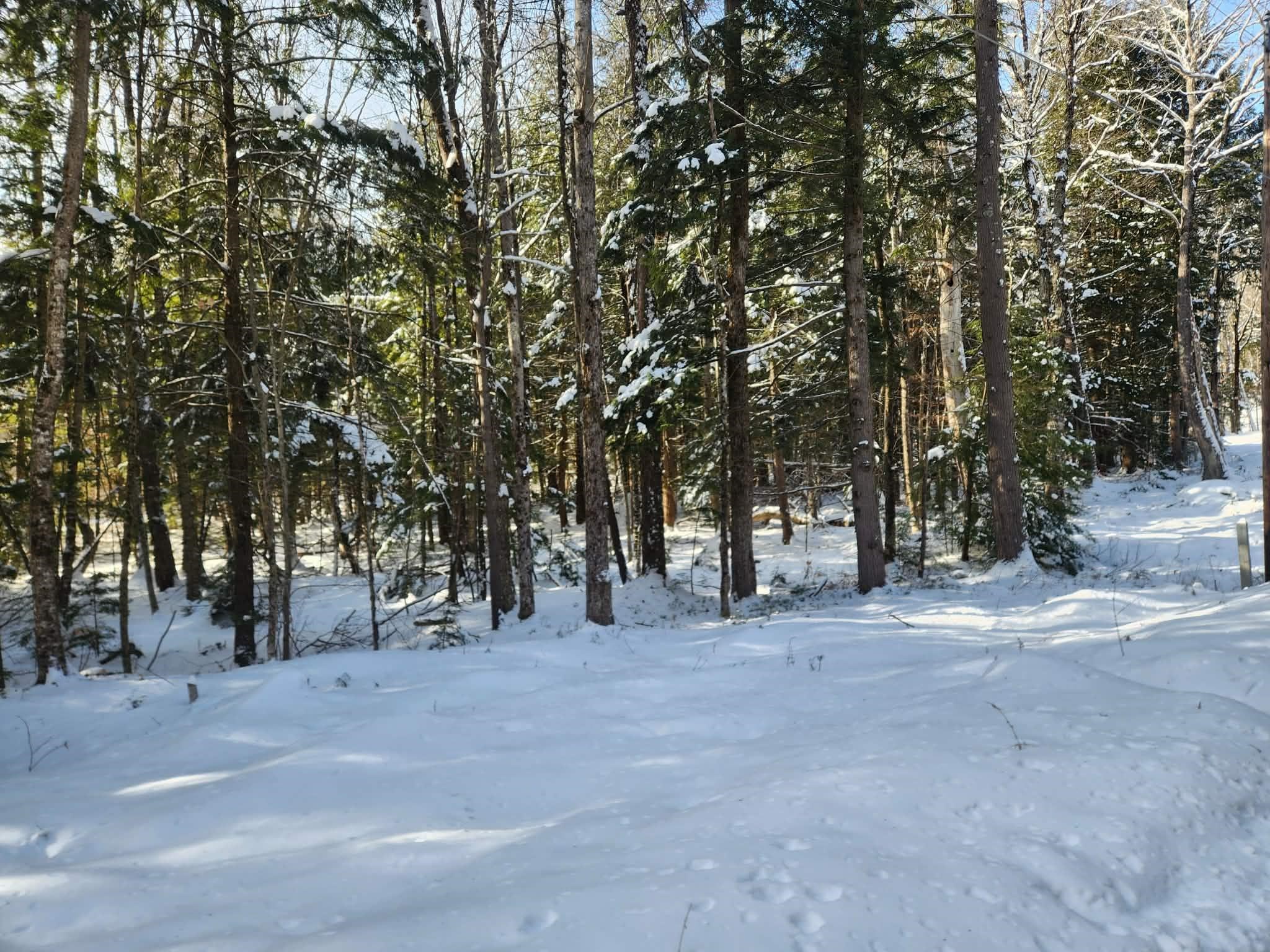 10 cedar Drive Unit: 130-lot 10