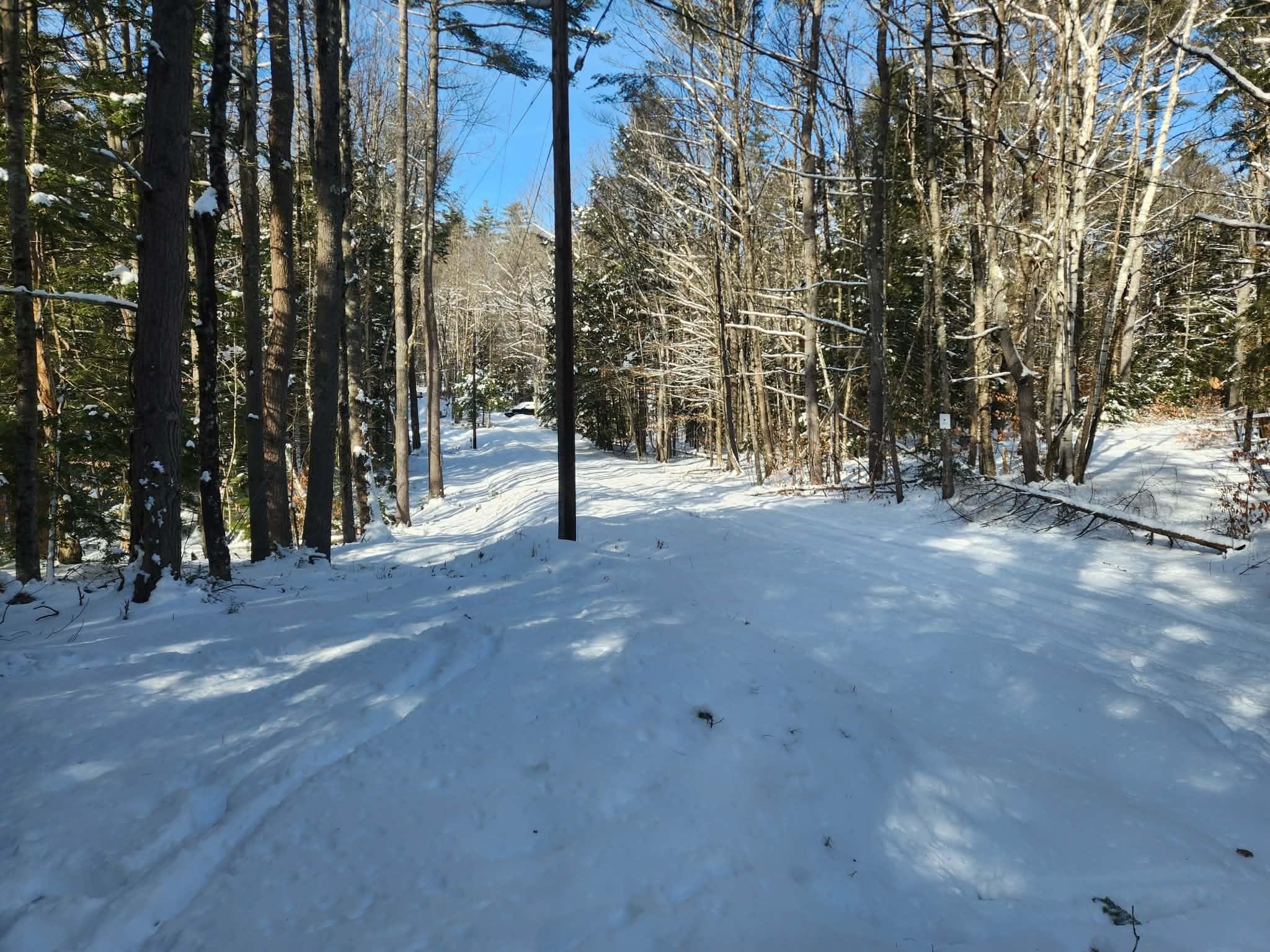 10 cedar Drive Unit: 130-lot 10