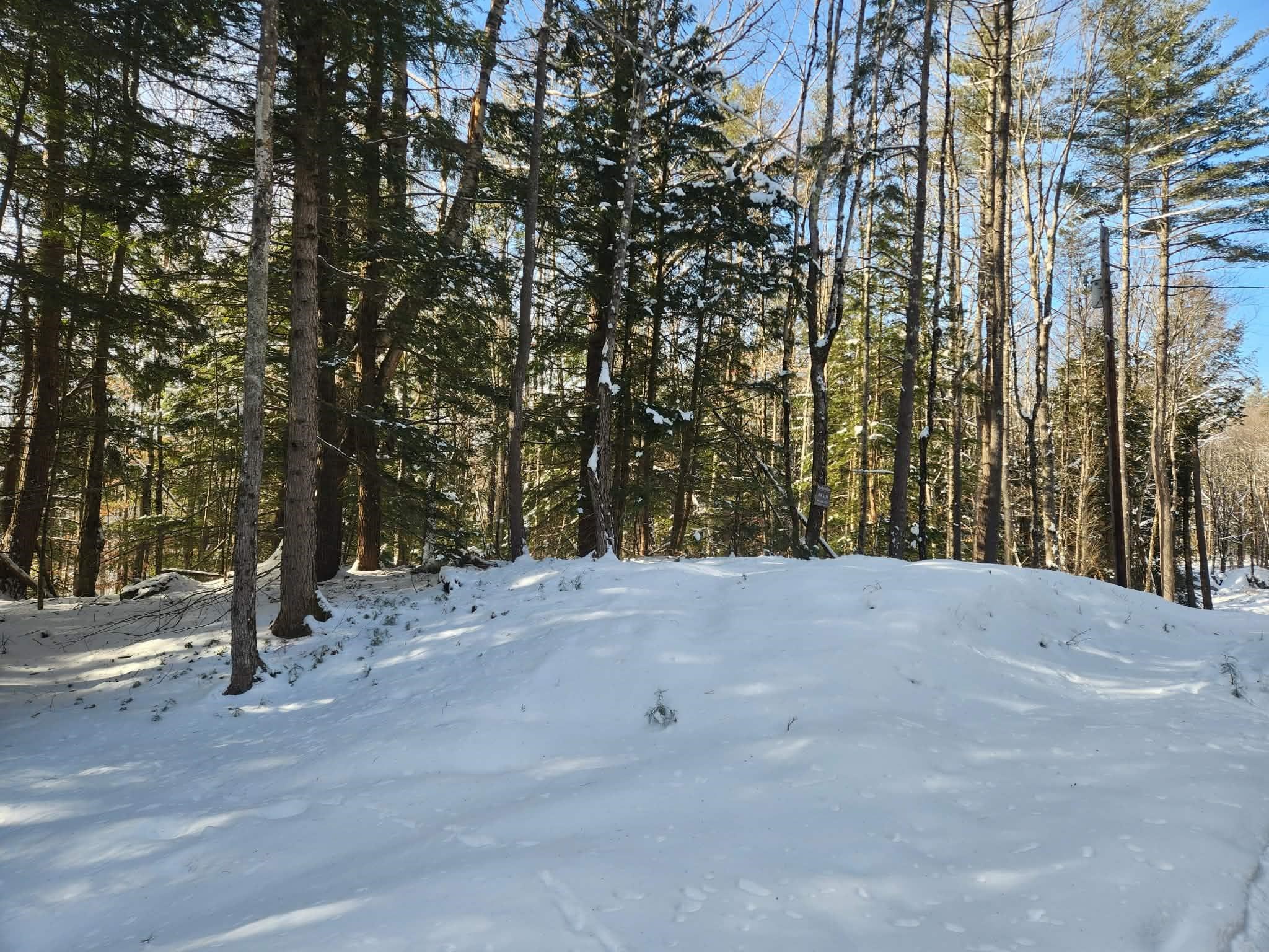 10 cedar Drive Unit: 130-lot 10