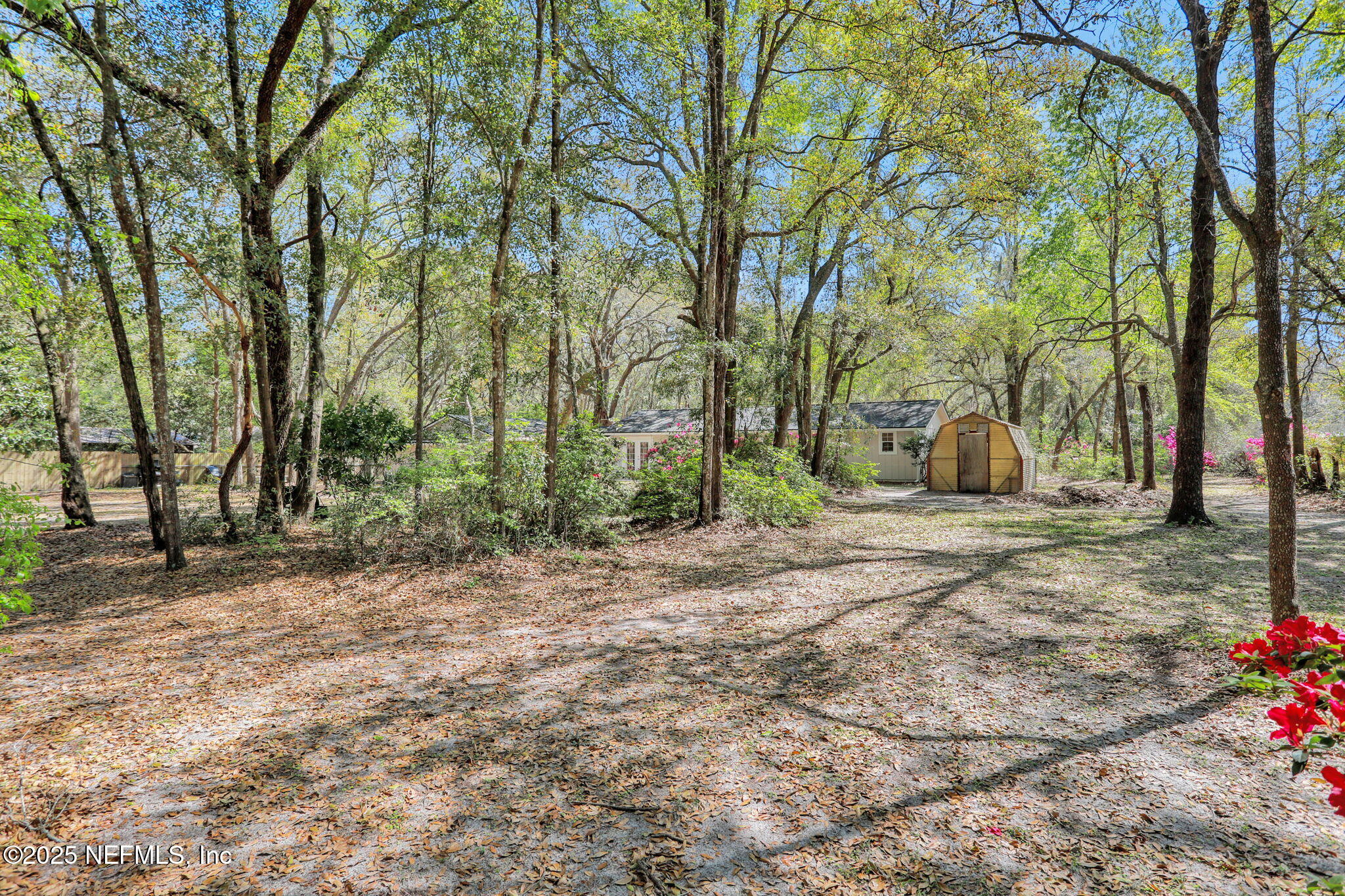 4268 CHOKEBERRY Road