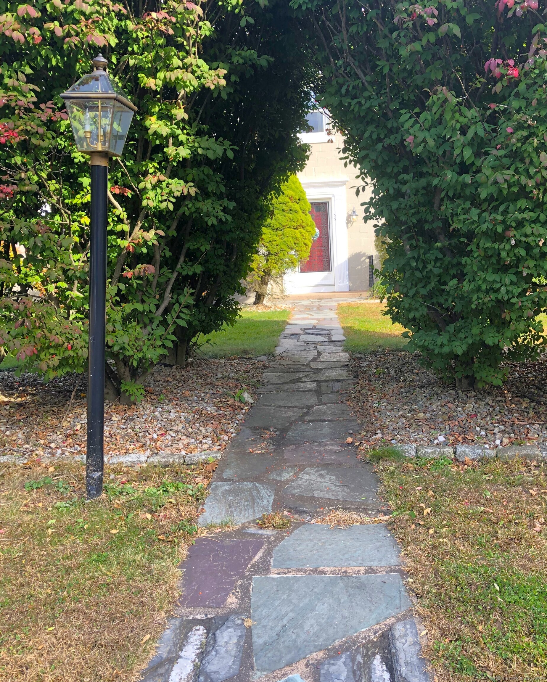 33 Reed Street