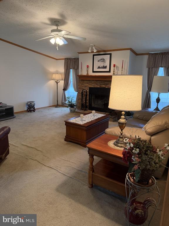 29 N DRAGON DRIVE
