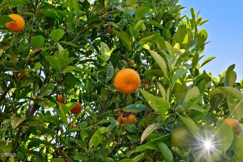 140 gaviota Place 157