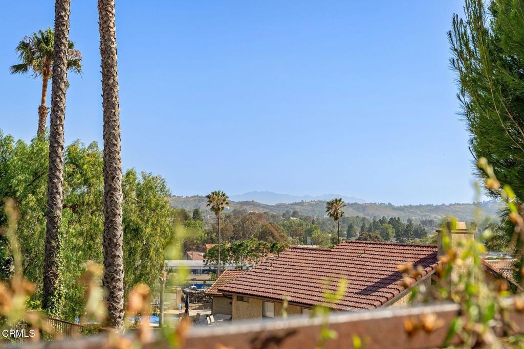 847 Hedyland Court