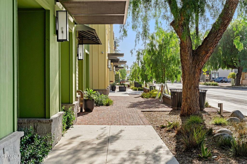 847 Hedyland Court