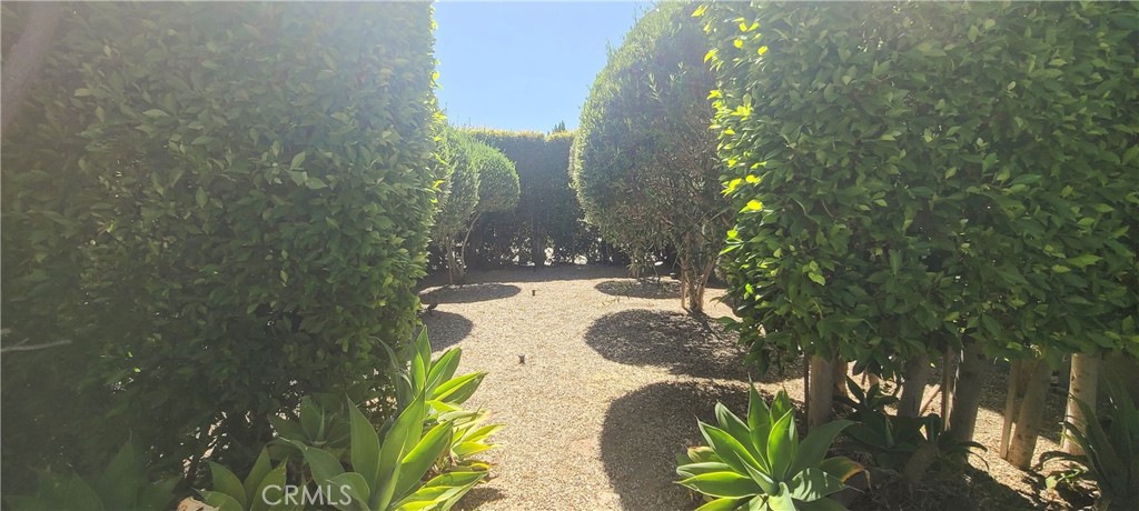 4522 Saint Elmo Drive