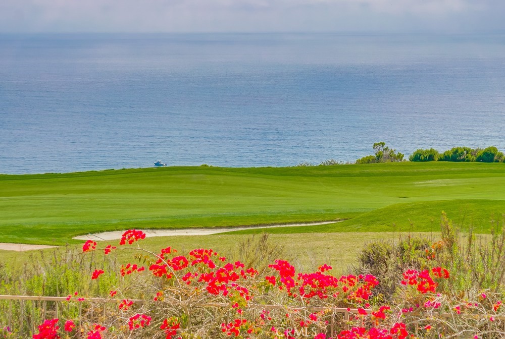 3200 La Rotonda Drive 407