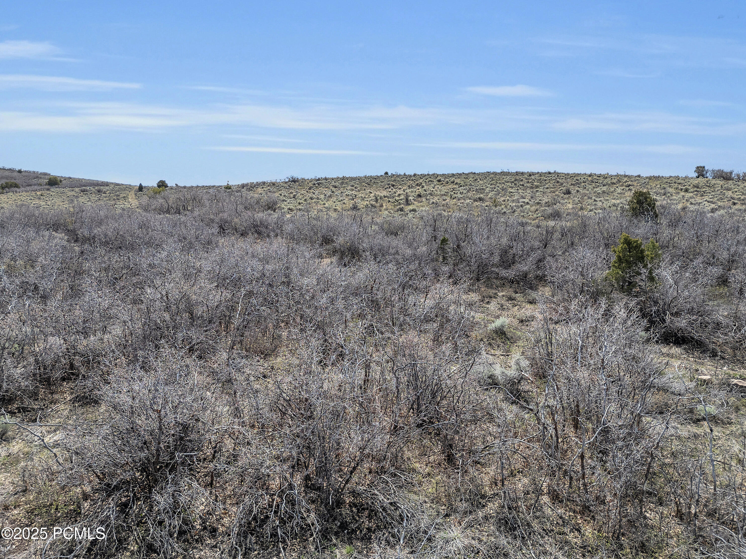 2 S Remuda Run Drive, 2