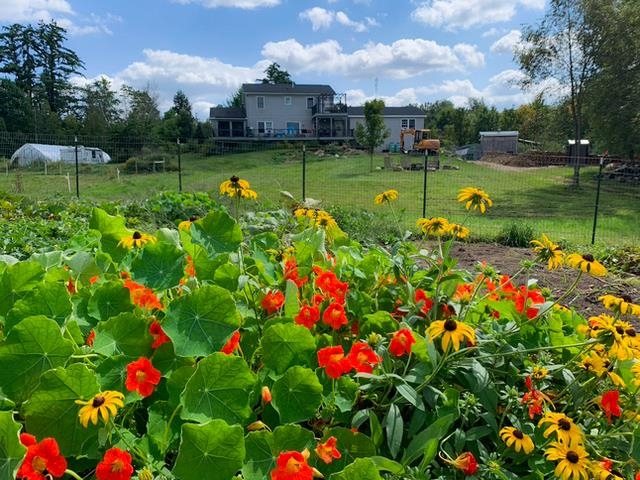 1168 New Hampton Road