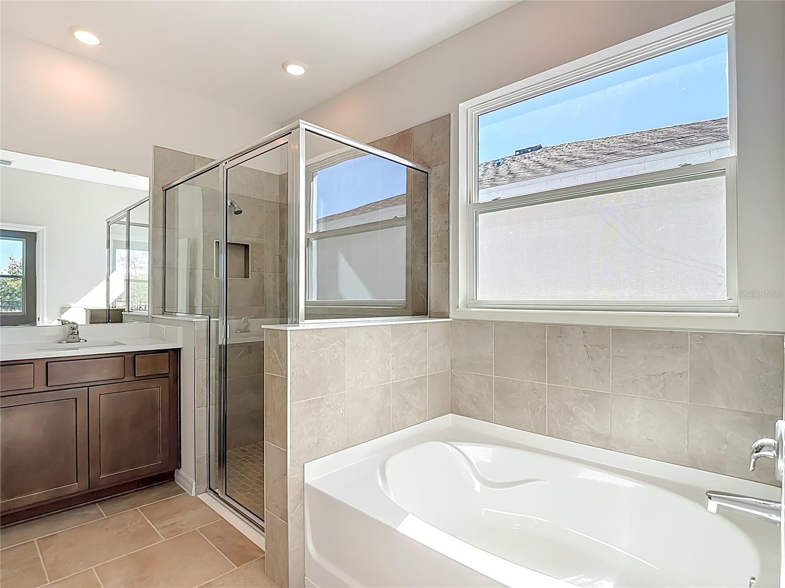 10471 BRIDGEGATE HEIGHTS LOOP