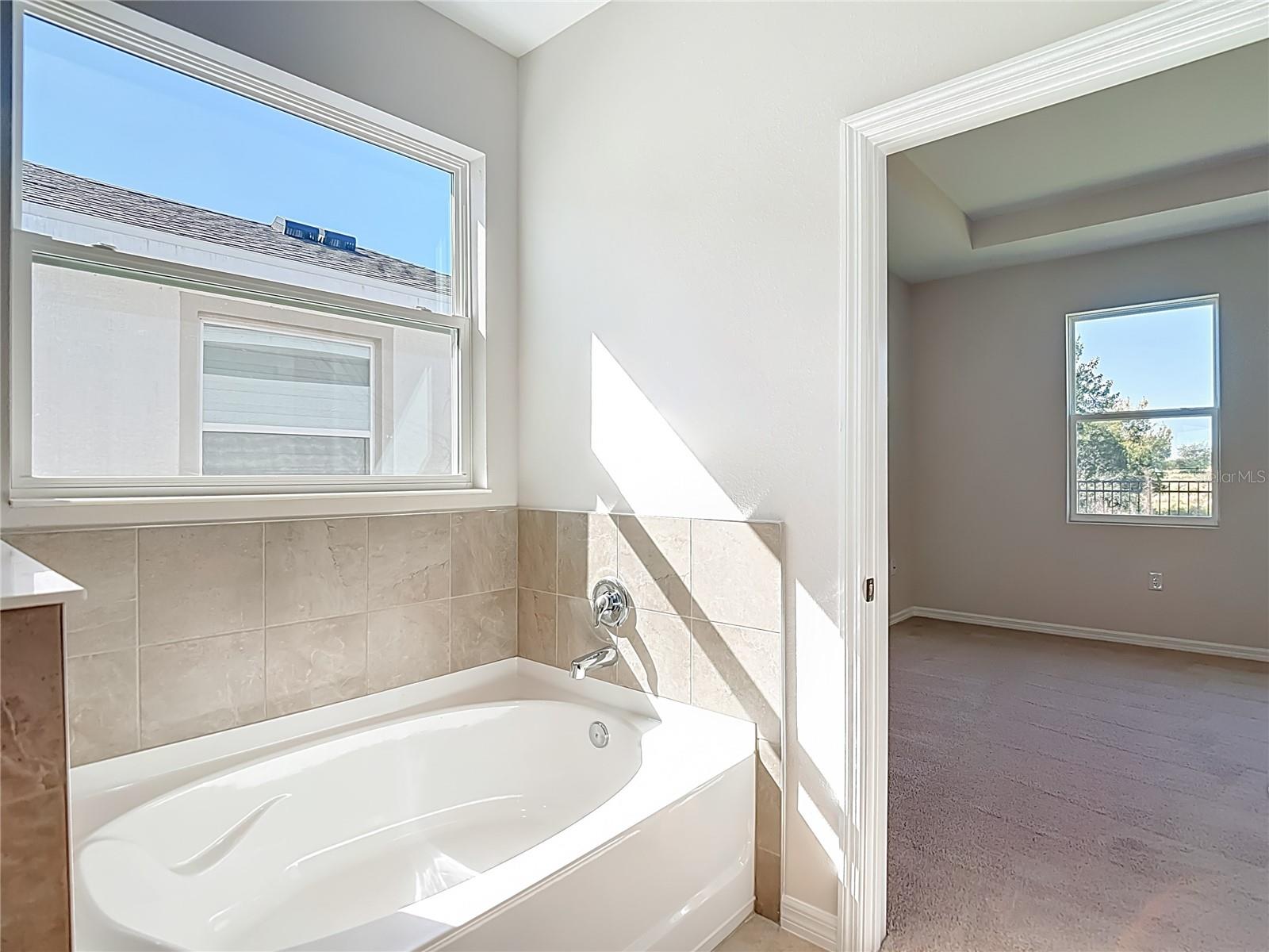 10471 BRIDGEGATE HEIGHTS LOOP