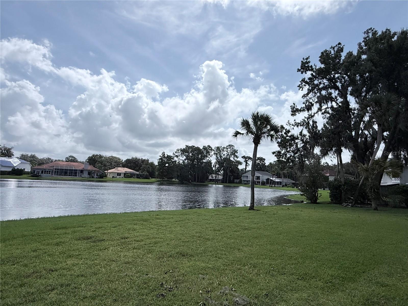 Lakefront lawn with palm trees and homes across the water.