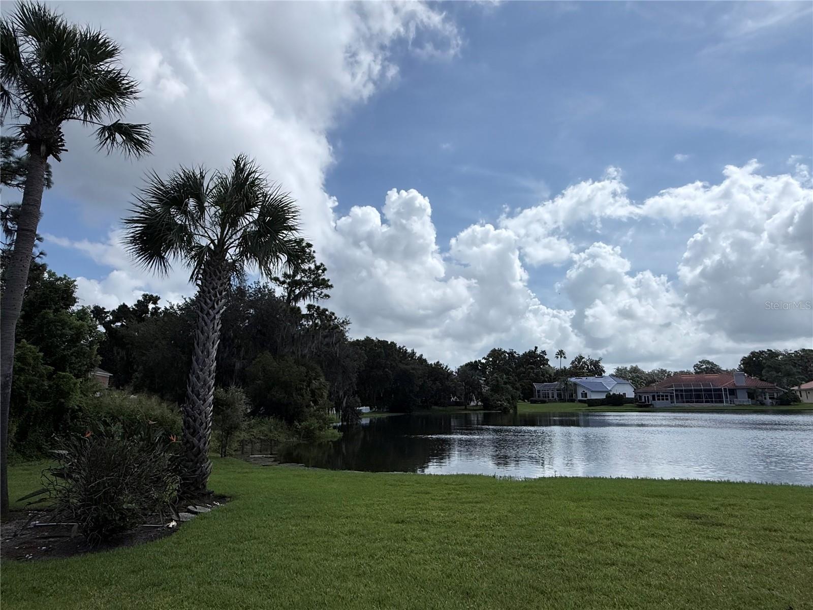 Lakeside lawn with palm trees overlooking a pond and homes across the water.