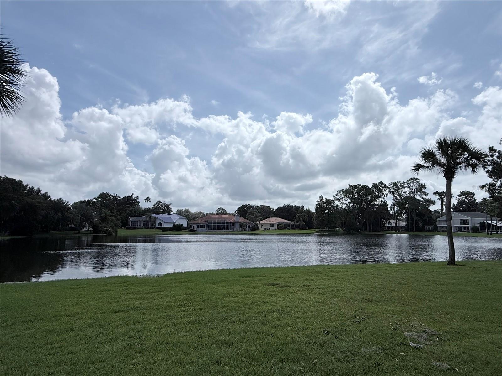 Pond view toward homes across the water, with a grassy lawn and palm trees.