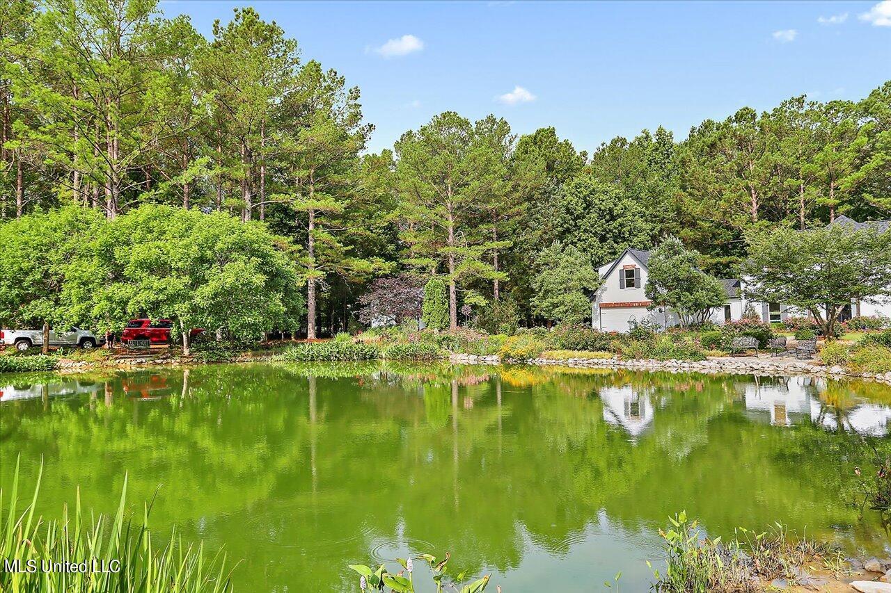438 Stokes Road
