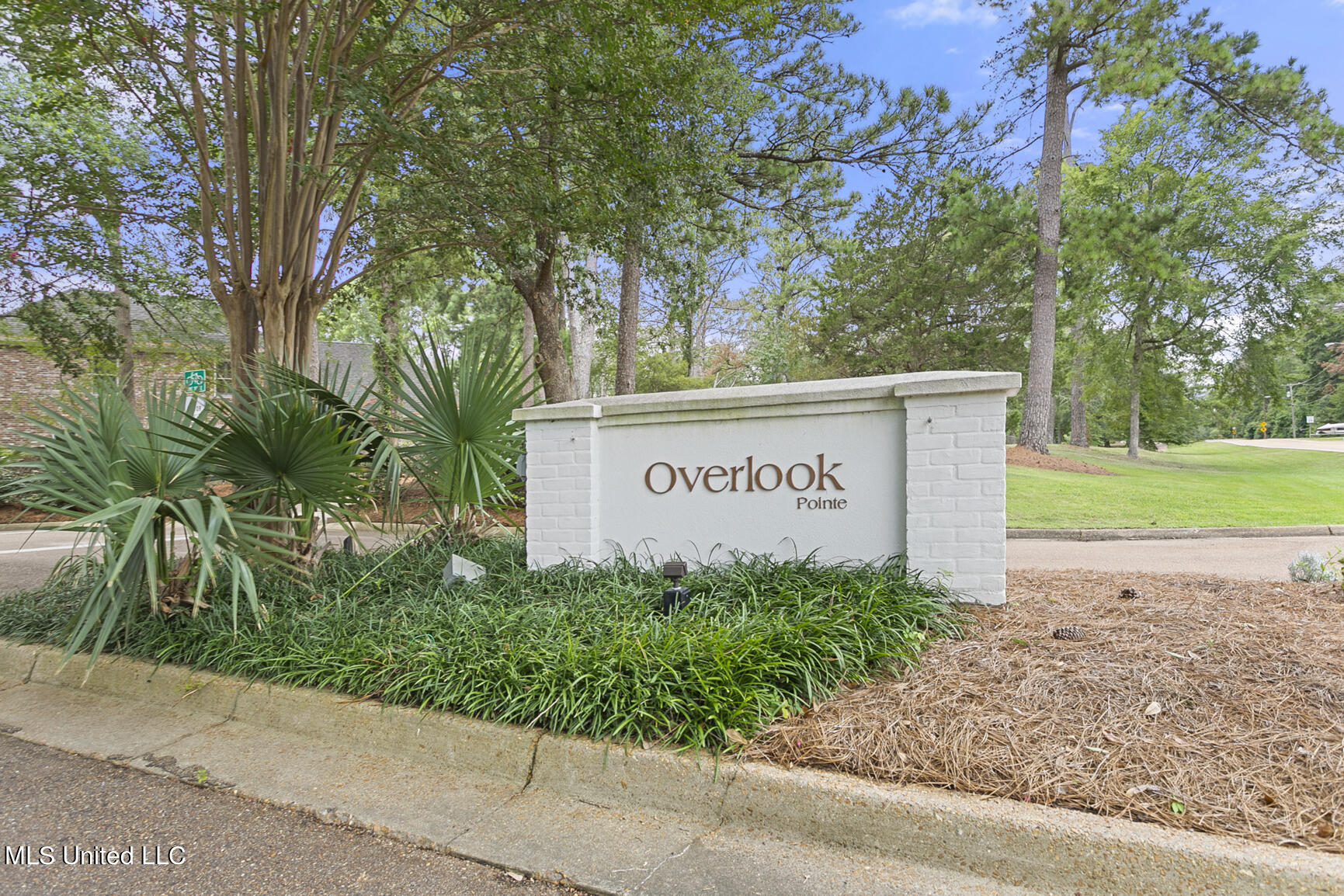 161 Overlook Pointe Drive