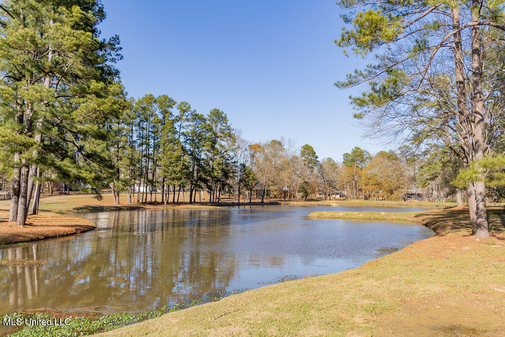 504 Arbor Drive