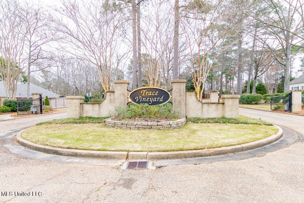 504 Arbor Drive