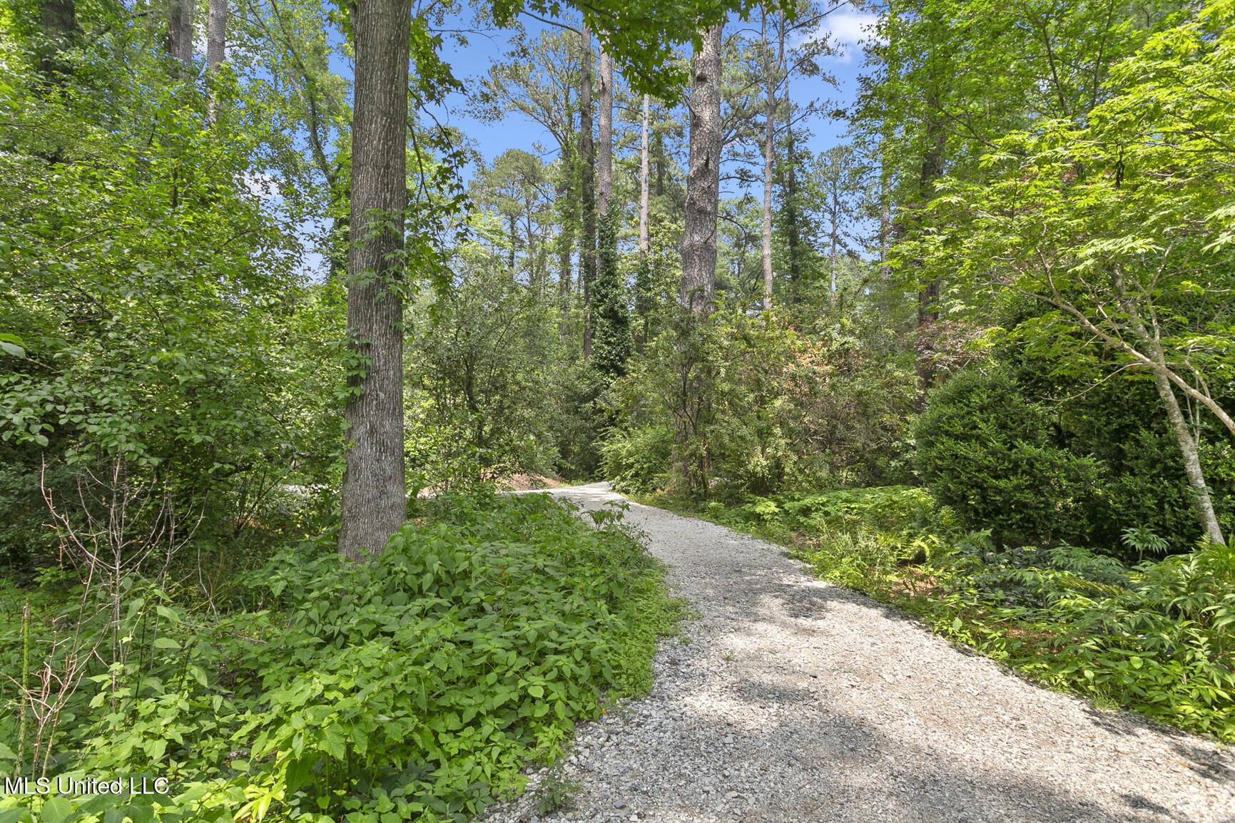 106 N Meadowbrook
