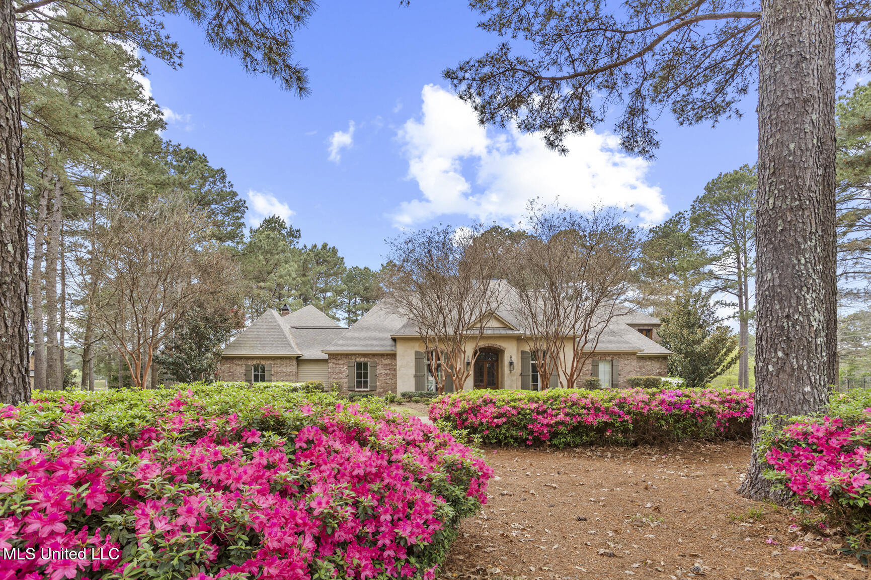 111 Johnstone Drive