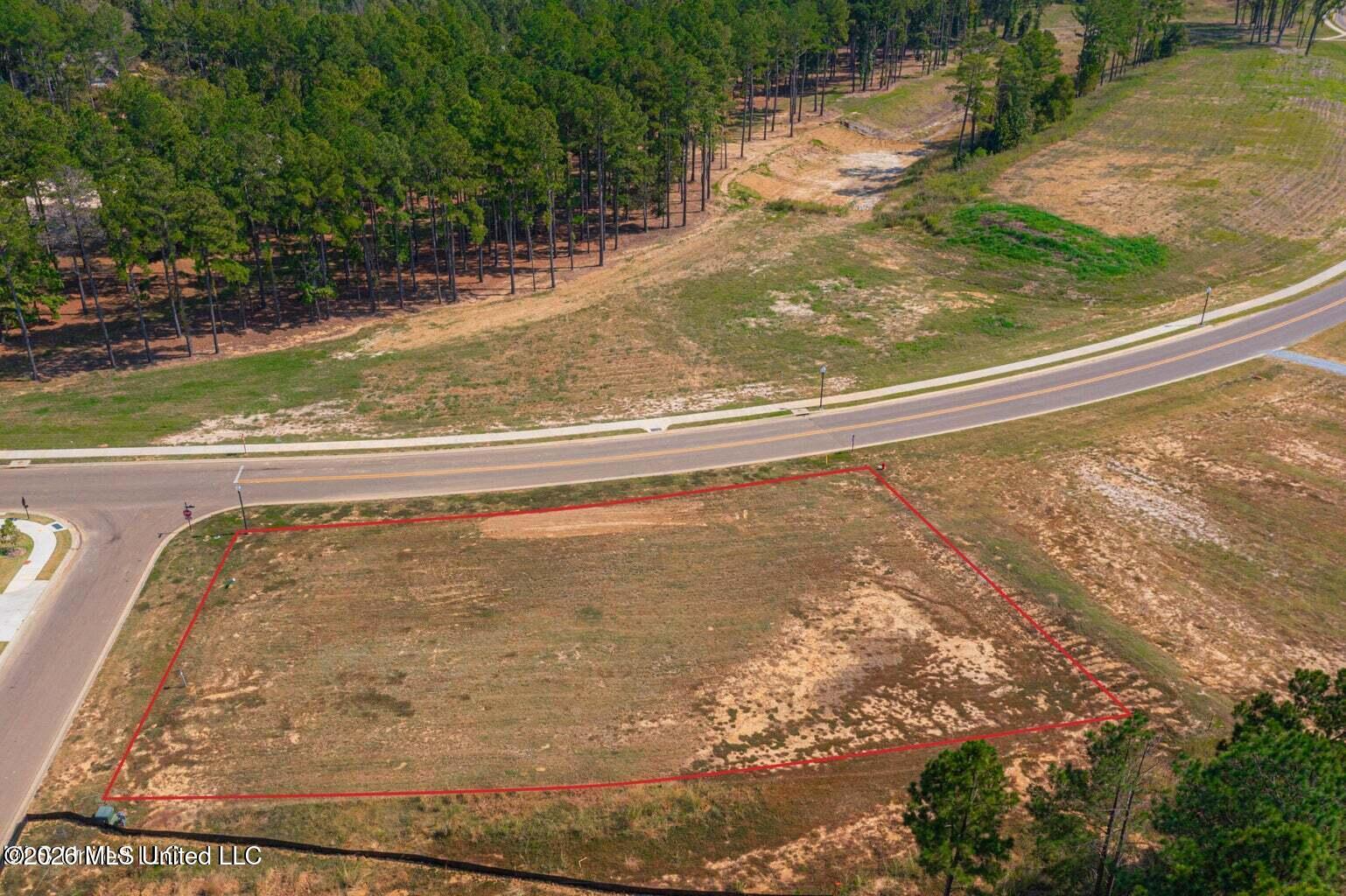 Lot Z-71 Winchester Loop