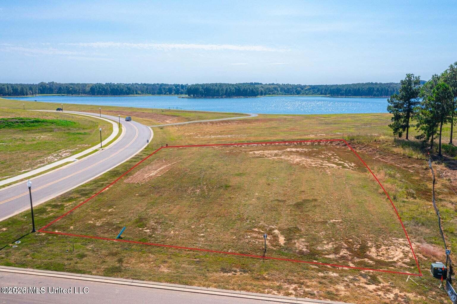 Lot Z-71 Winchester Loop