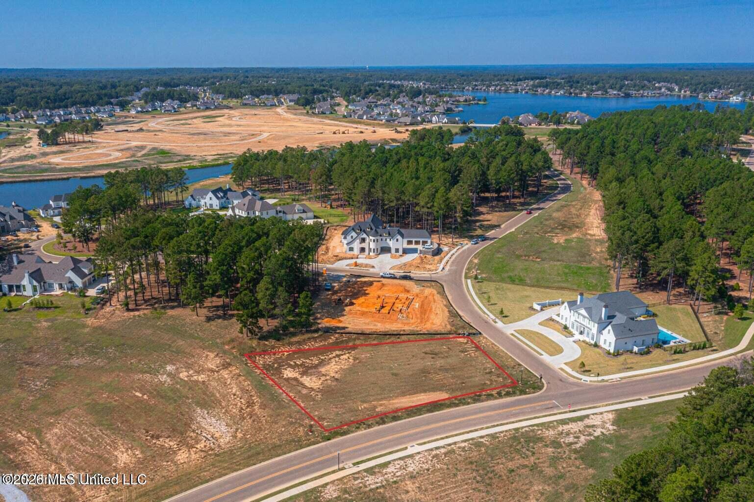 Lot Z-71 Winchester Loop