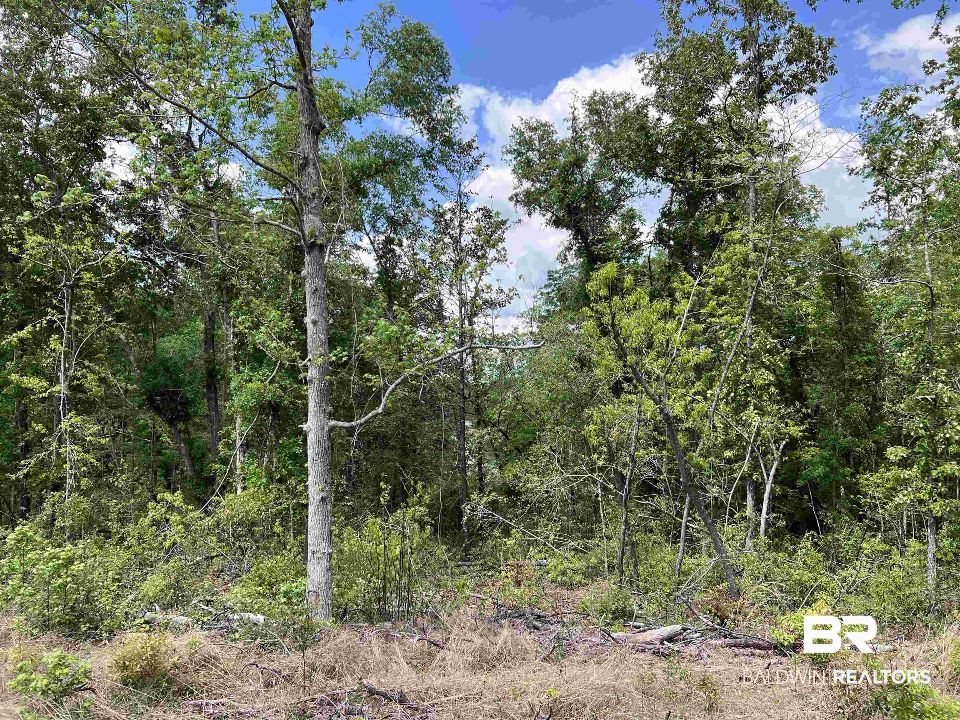 5100 Wiggins Lake Road