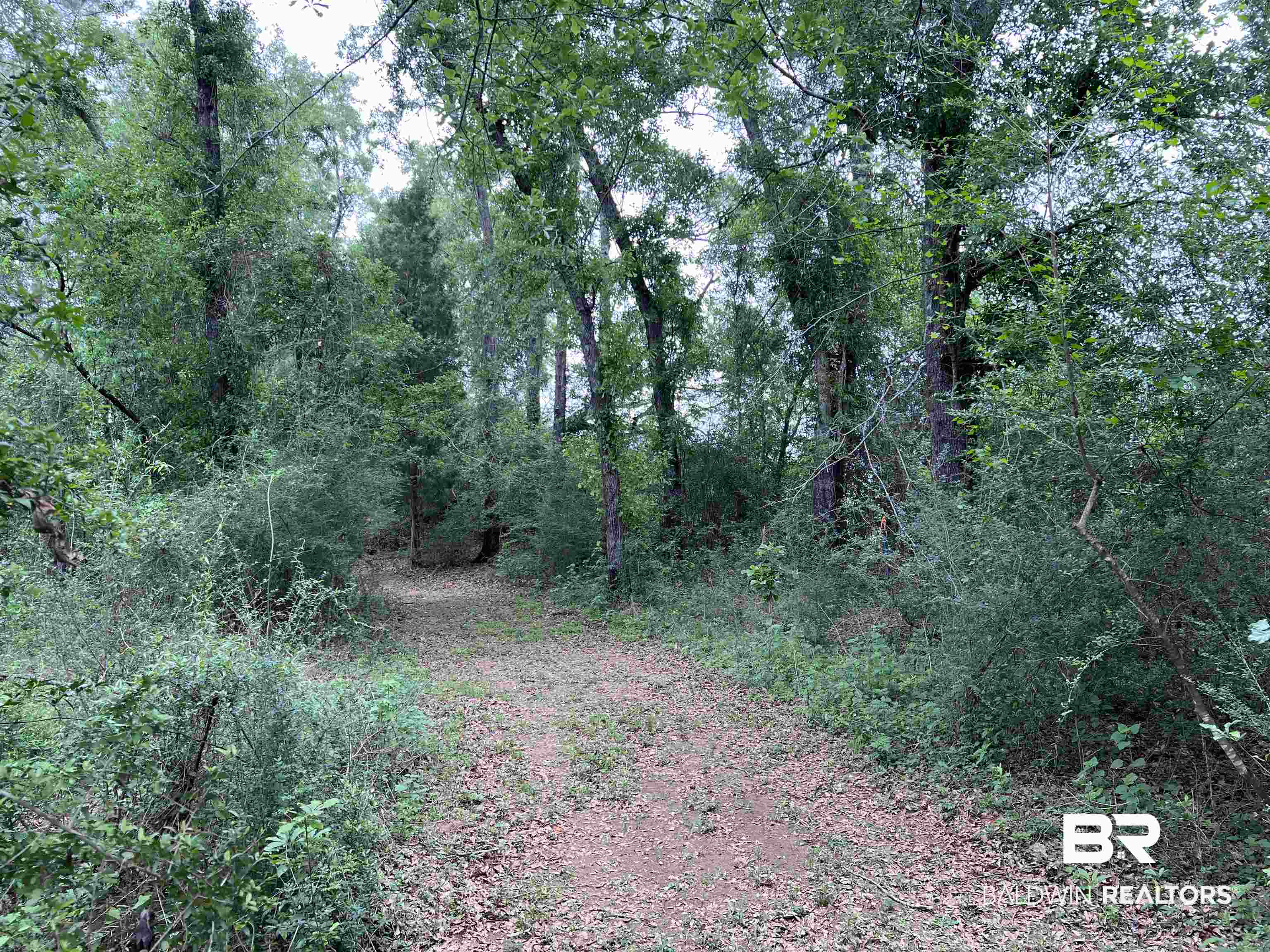5100 Wiggins Lake Road