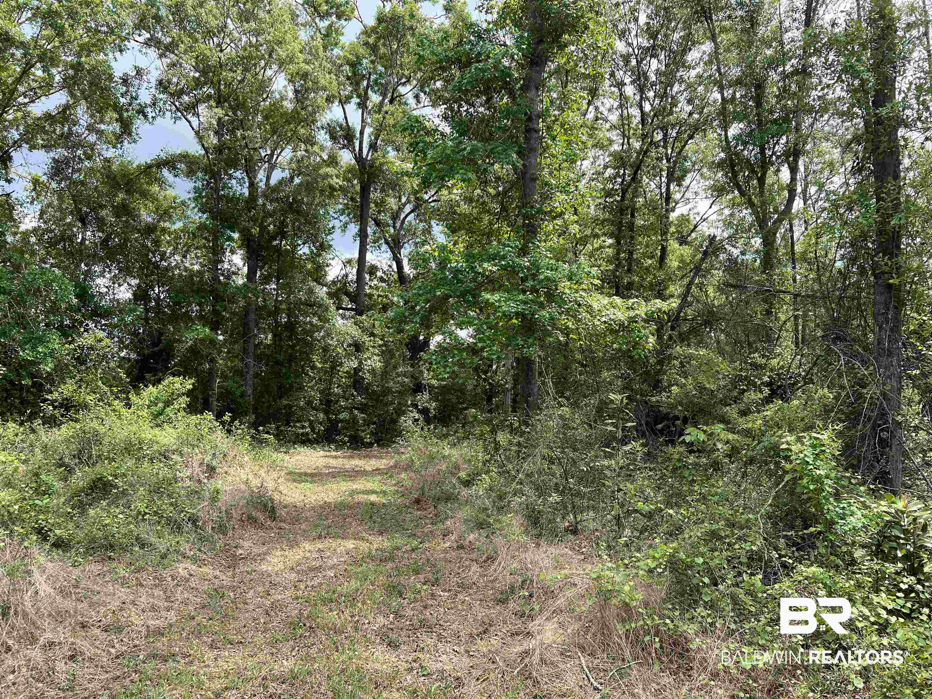 5100 Wiggins Lake Road