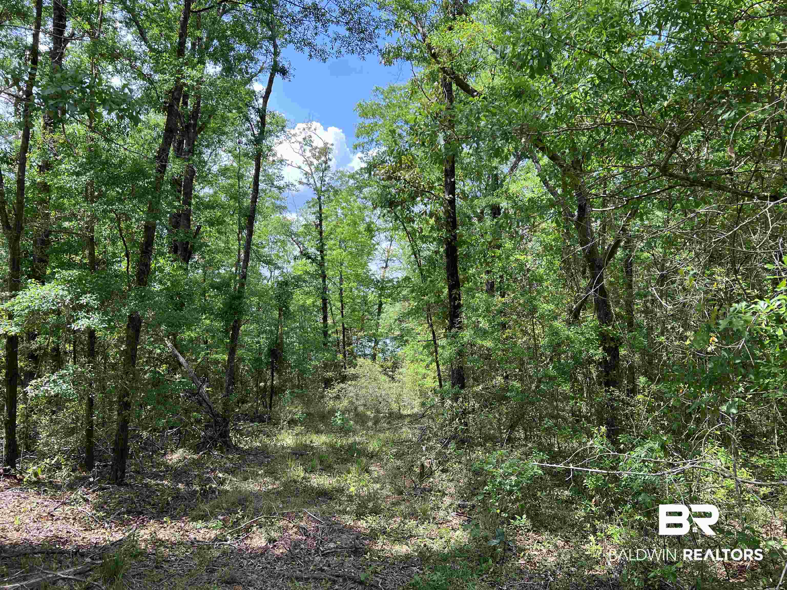 5100 Wiggins Lake Road