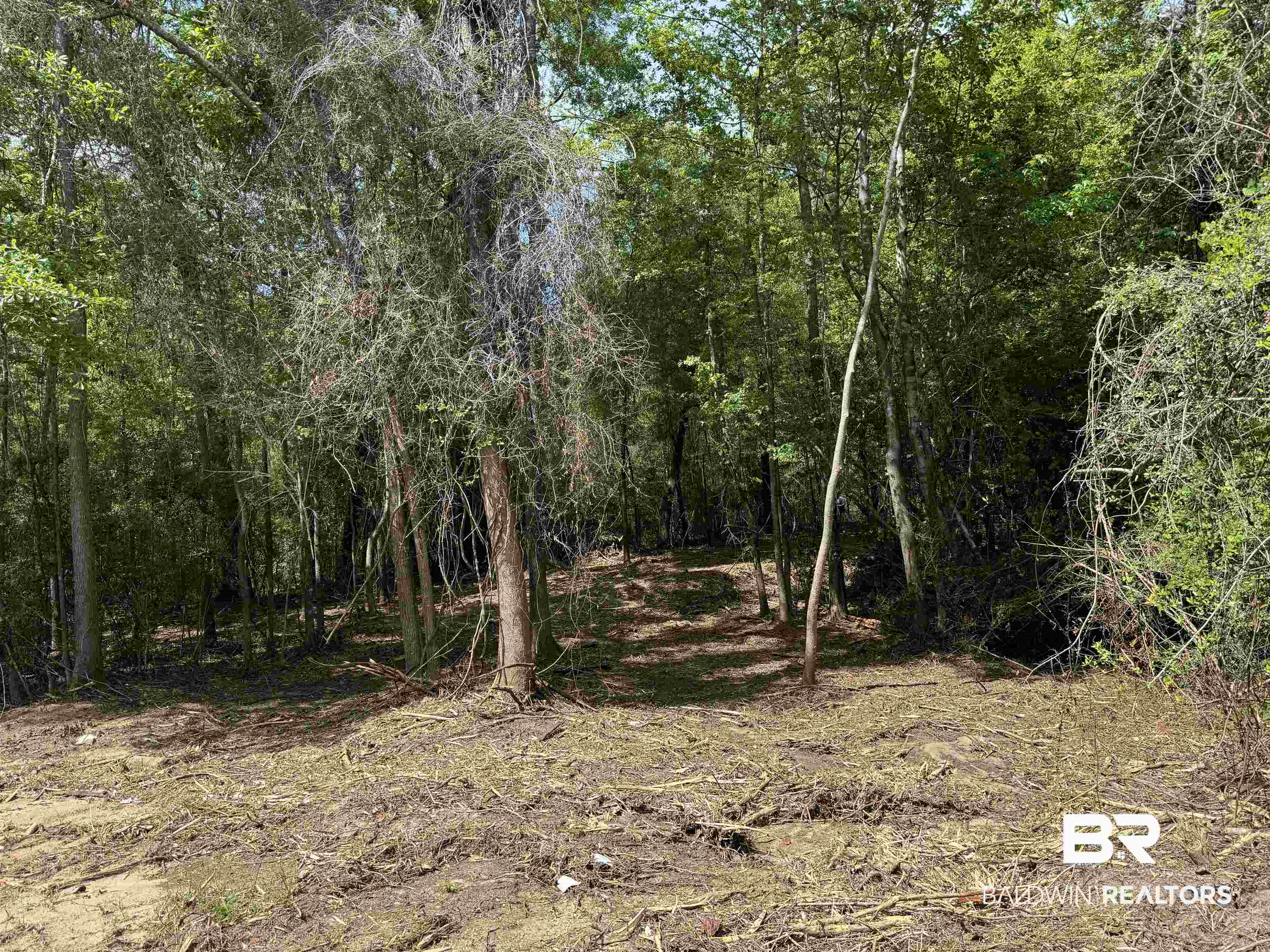 1131 Wolf Log Road