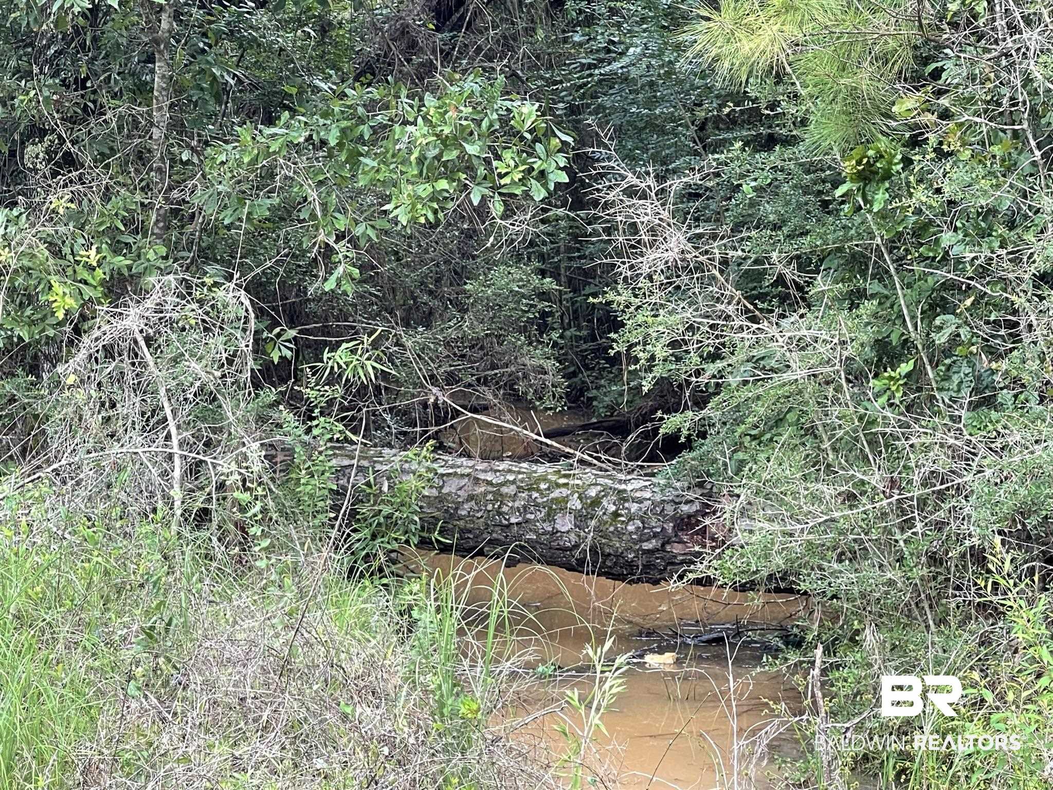 1131 Wolf Log Road