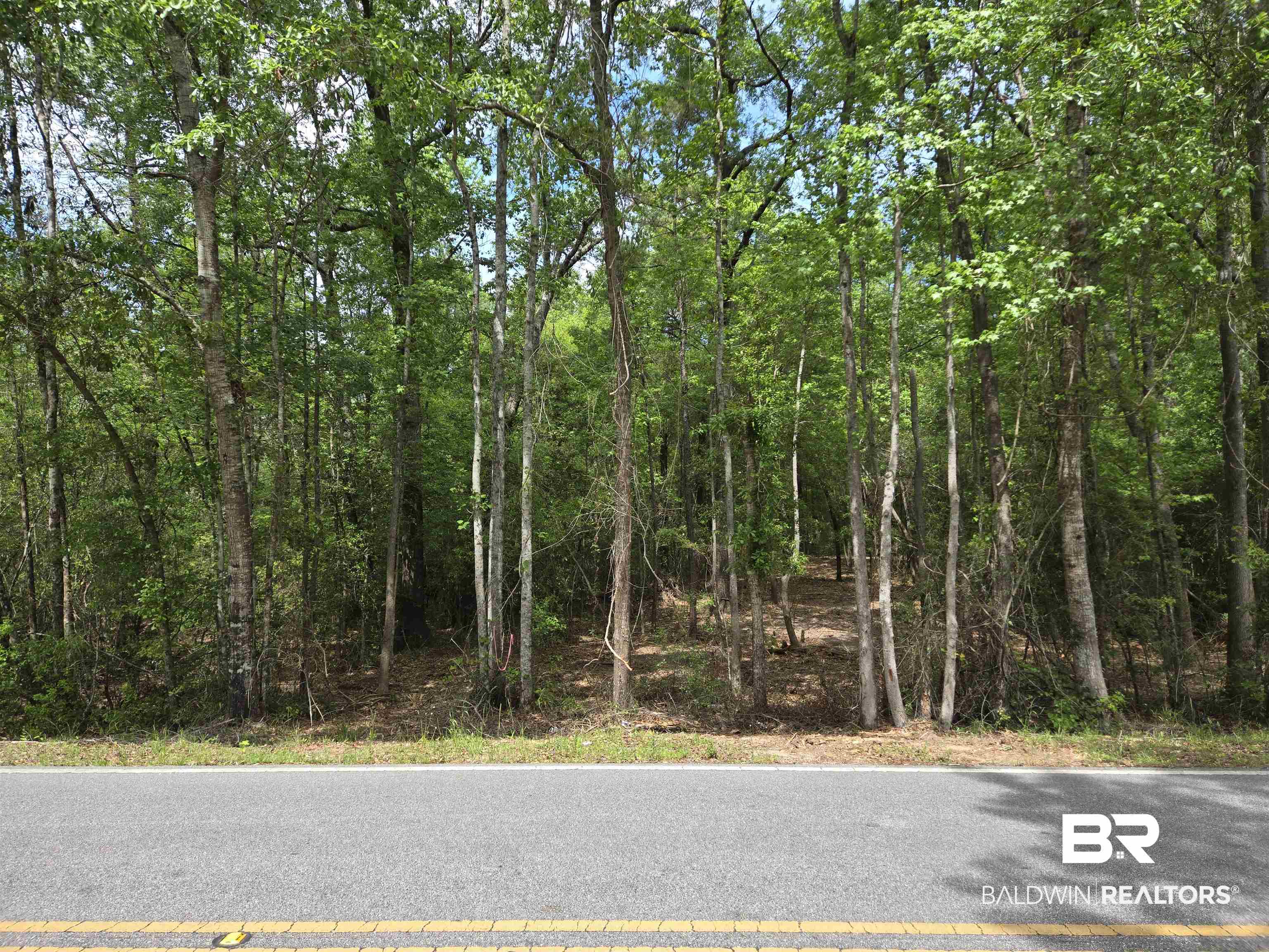 1131 Wolf Log Road