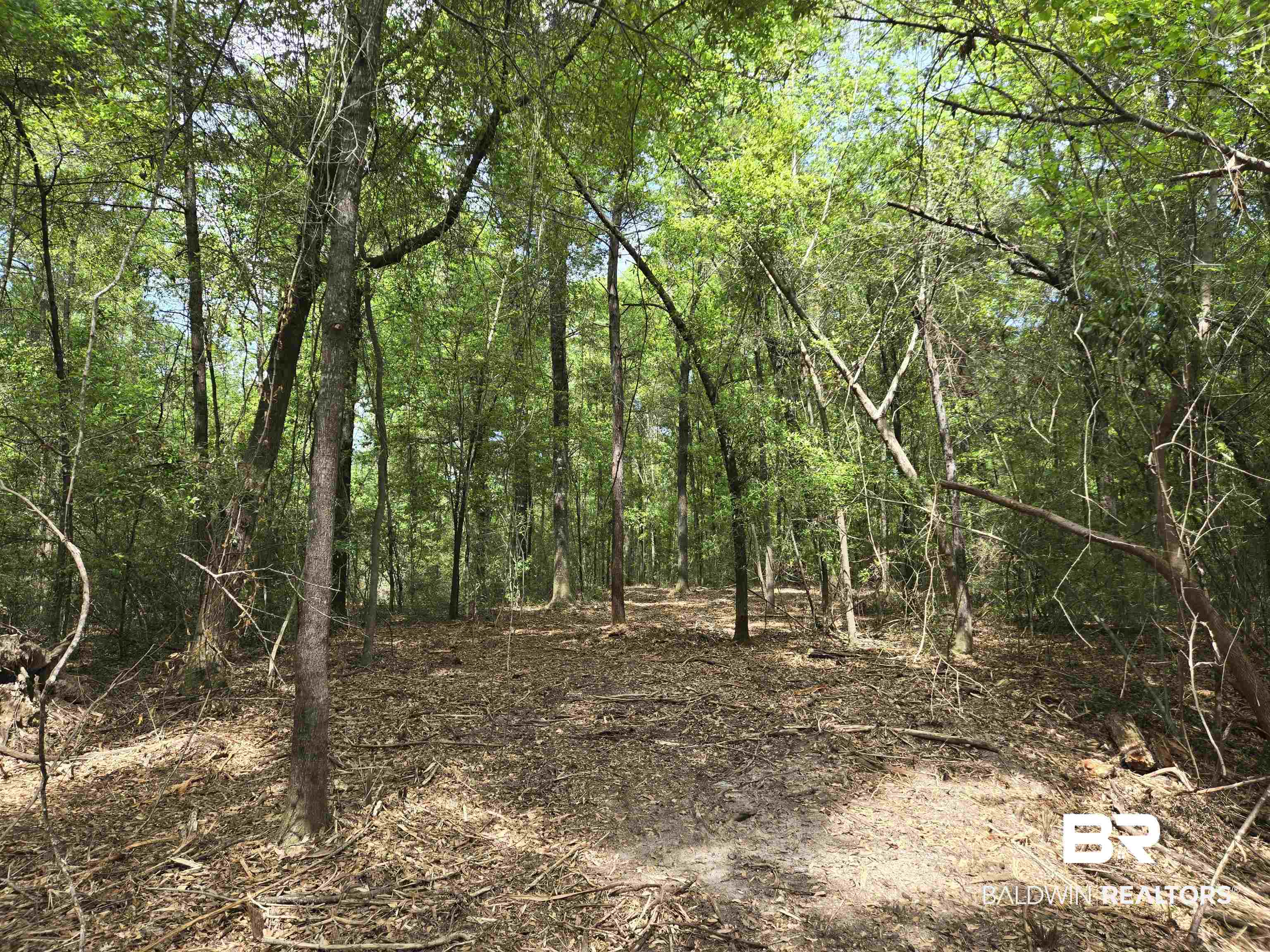 1131 Wolf Log Road