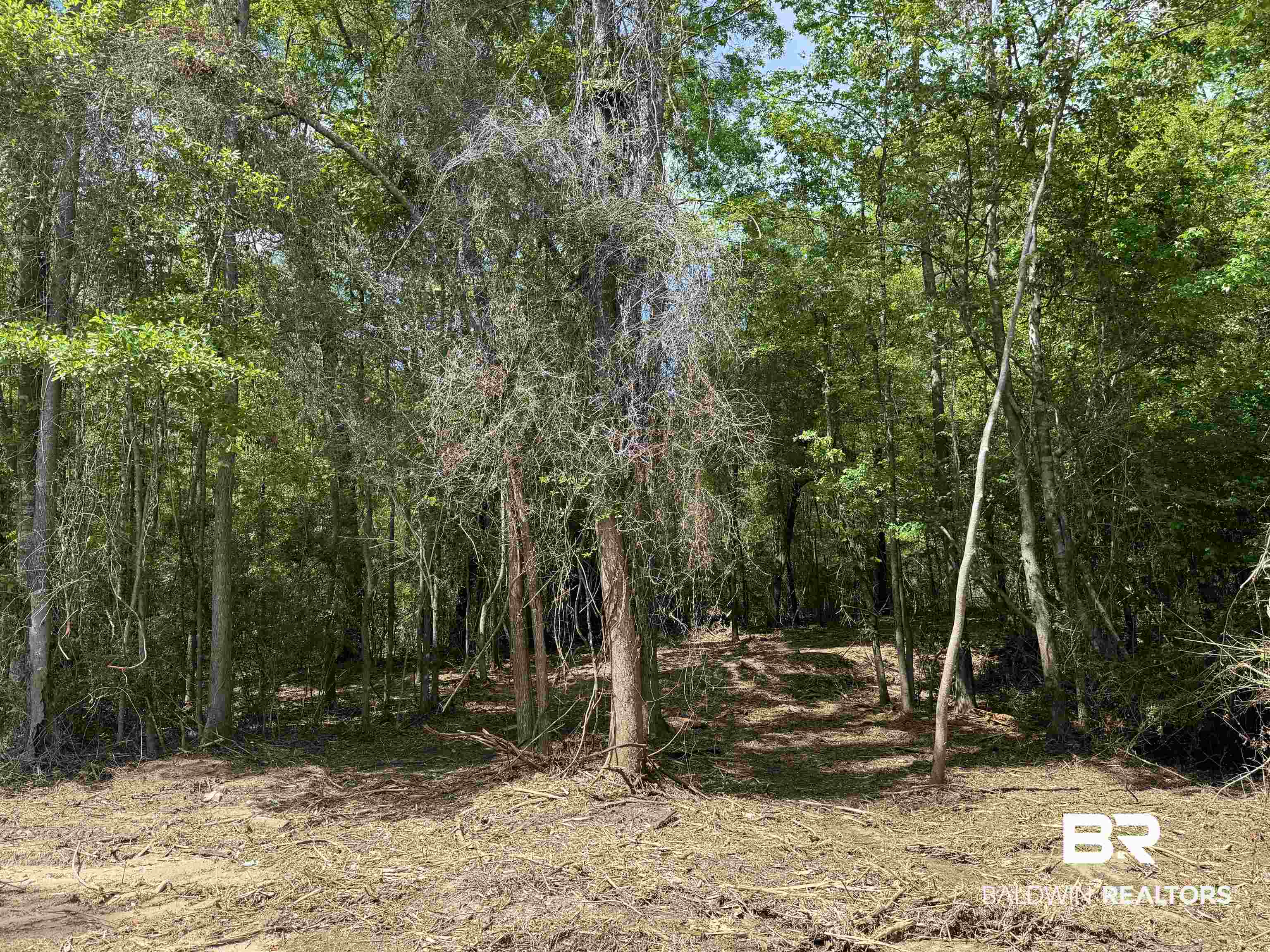 1131 Wolf Log Road