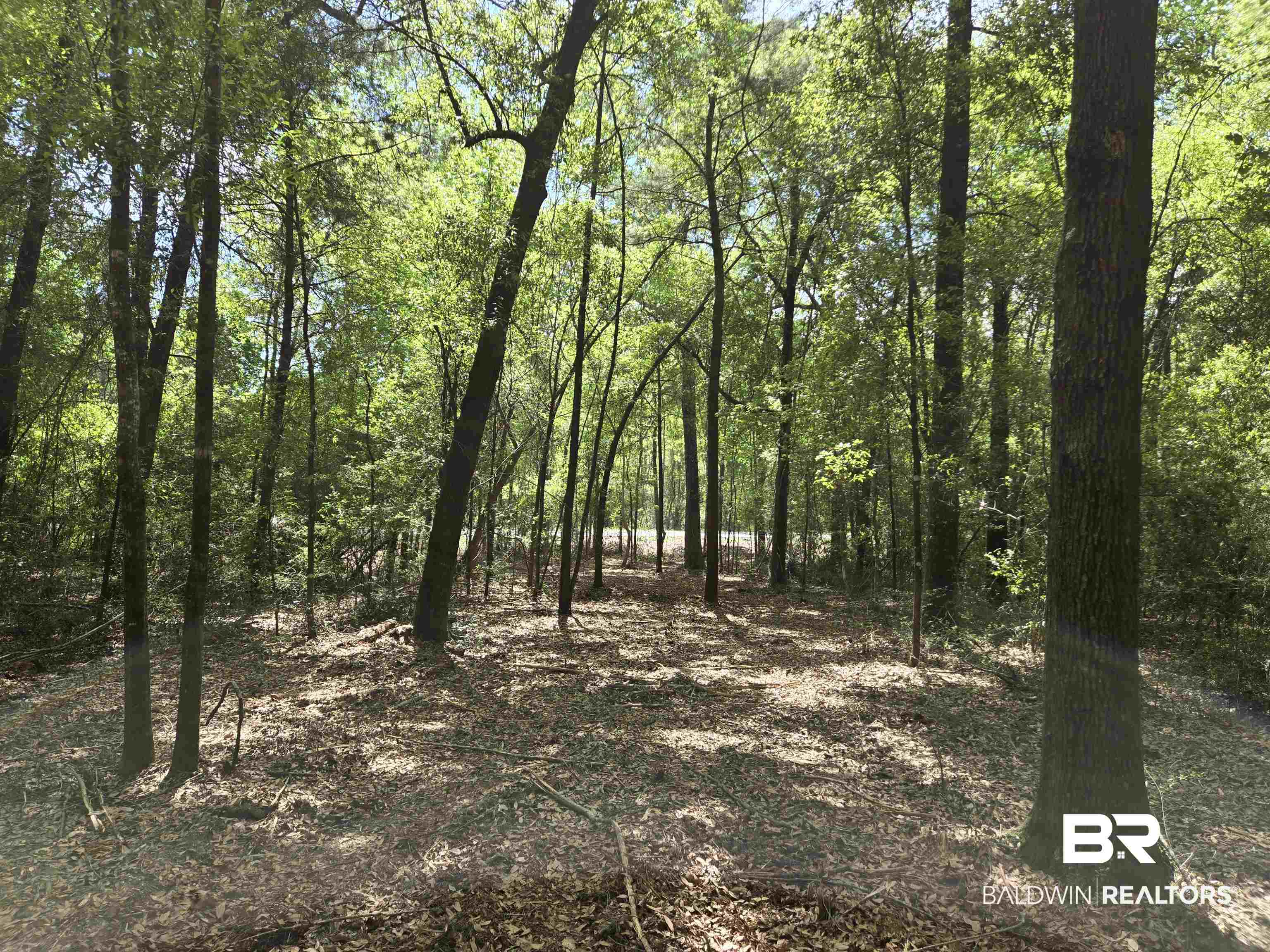 1131 Wolf Log Road