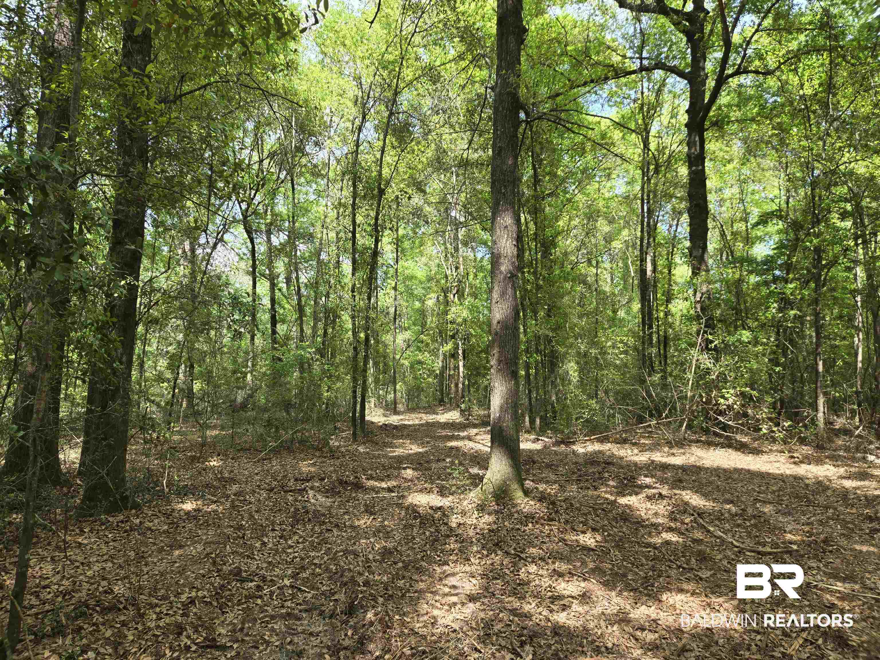 1131 Wolf Log Road
