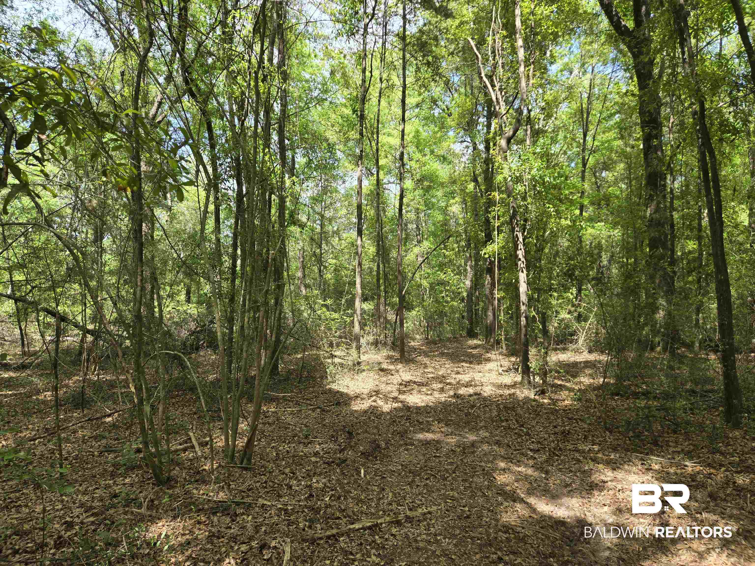 1131 Wolf Log Road