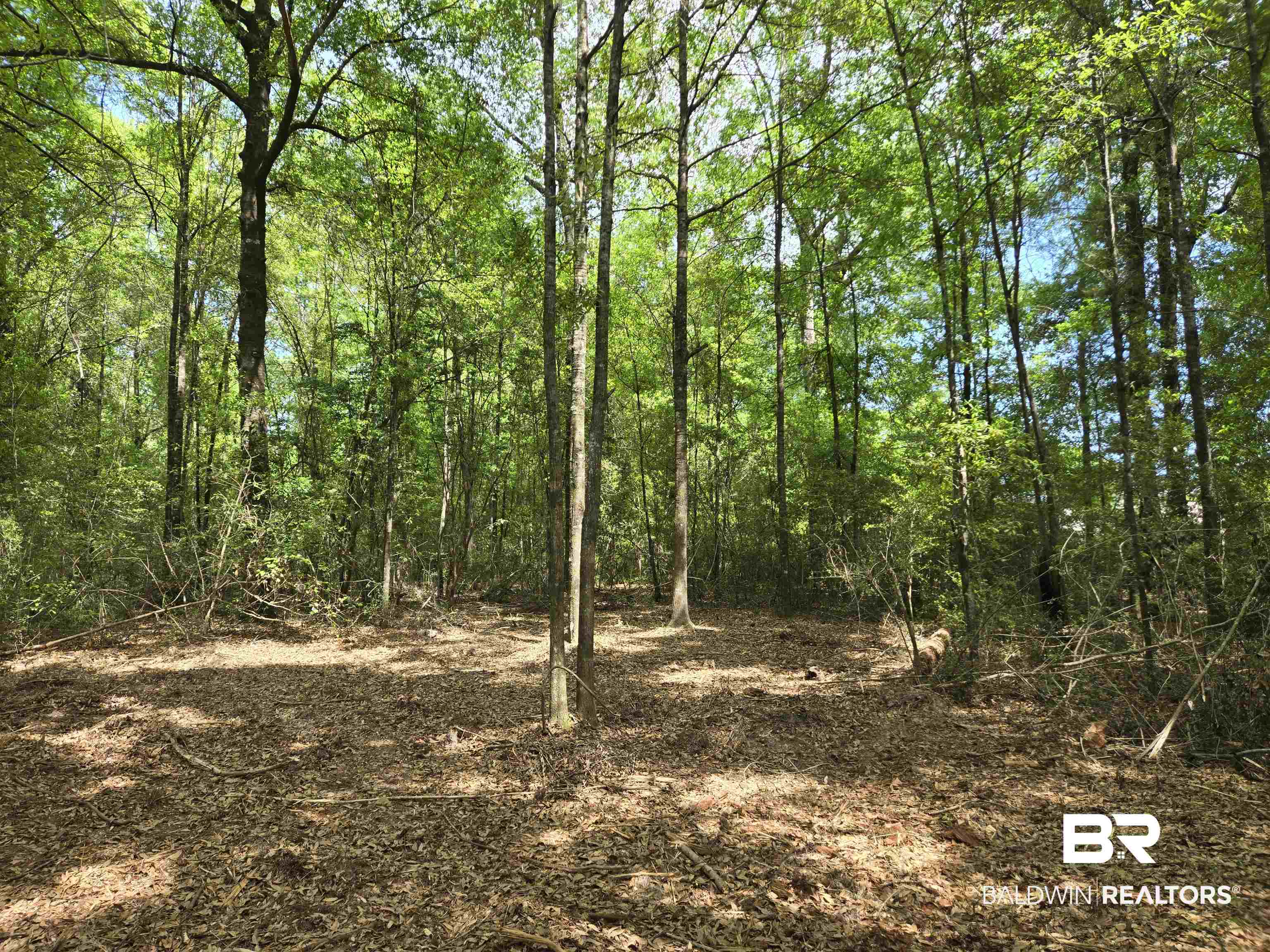 1131 Wolf Log Road
